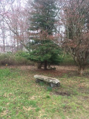Single Family Residence at 434 Hixville Rd, Dartmouth MA 02747, Dartmouth, photo 4 of 4