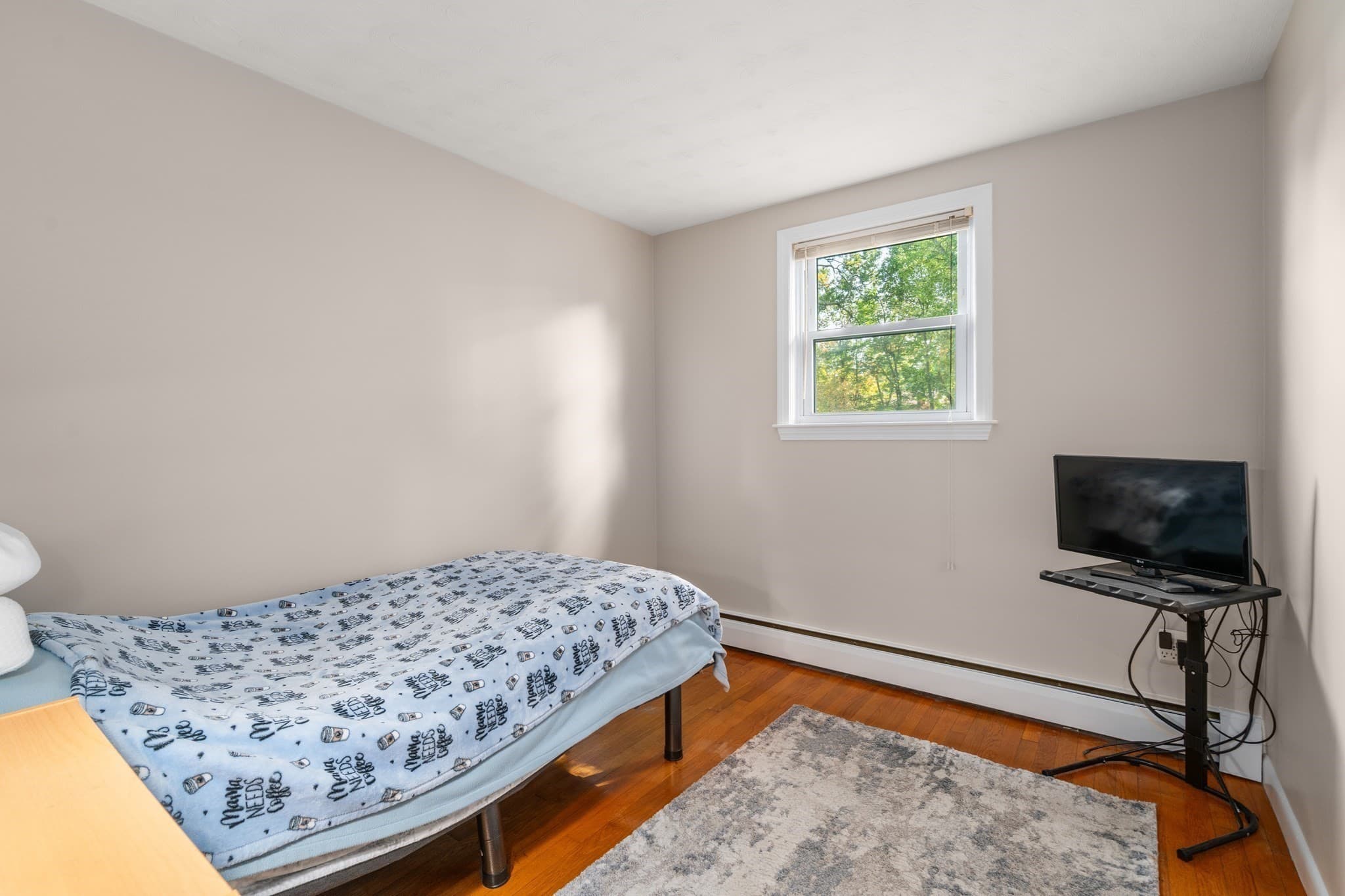 Single Family Residence at 18 Julie Ave, Brockton MA 02301, Brockton, photo 16 of 29