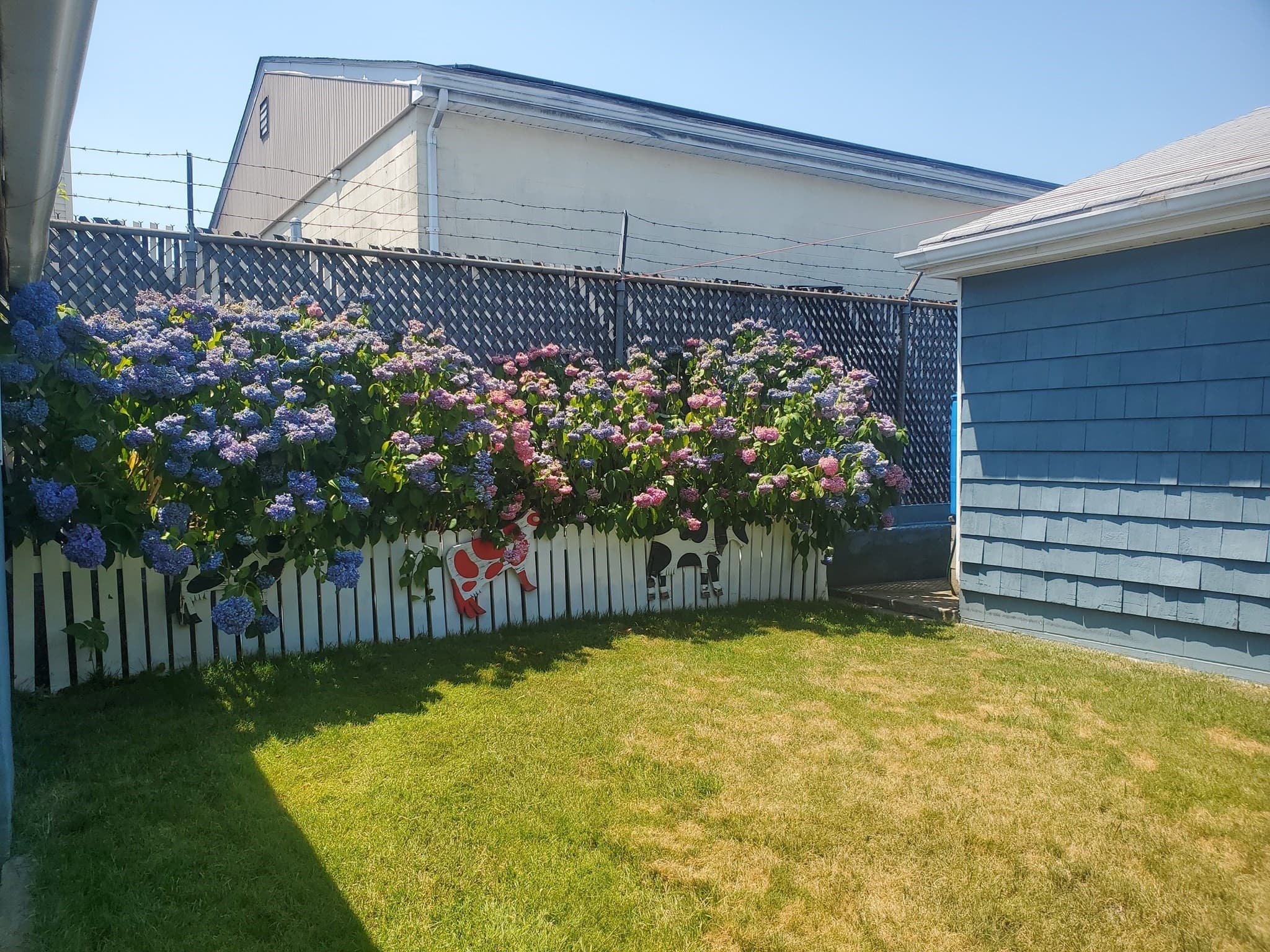 Multi Family at 9 Briggs St, New Bedford MA 02740, New Bedford, photo 6 of 29
