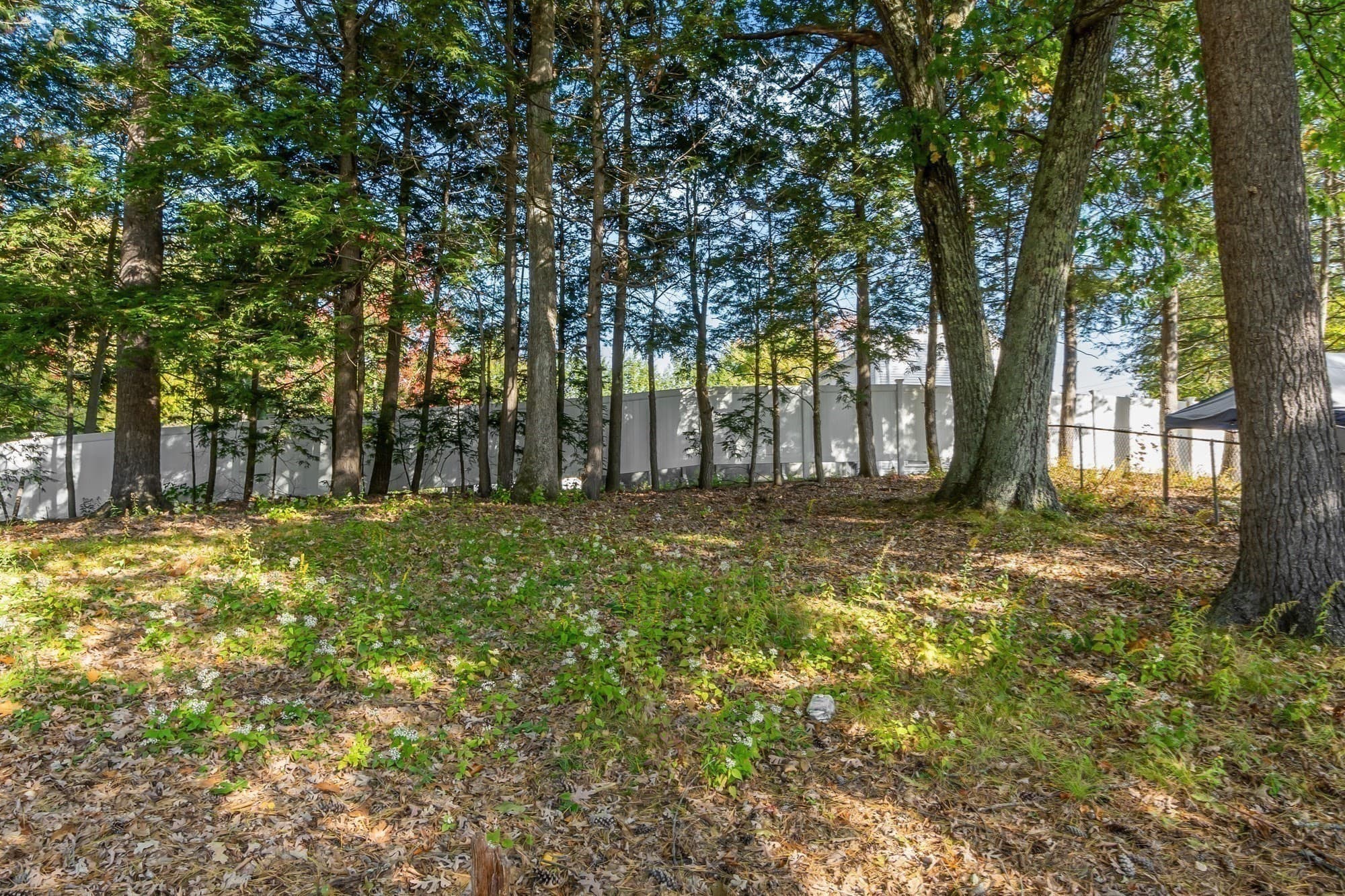 Commercial Sale at 165 Massachusetts Ave, Lunenburg MA 01462, Lunenburg, photo 24 of 31
