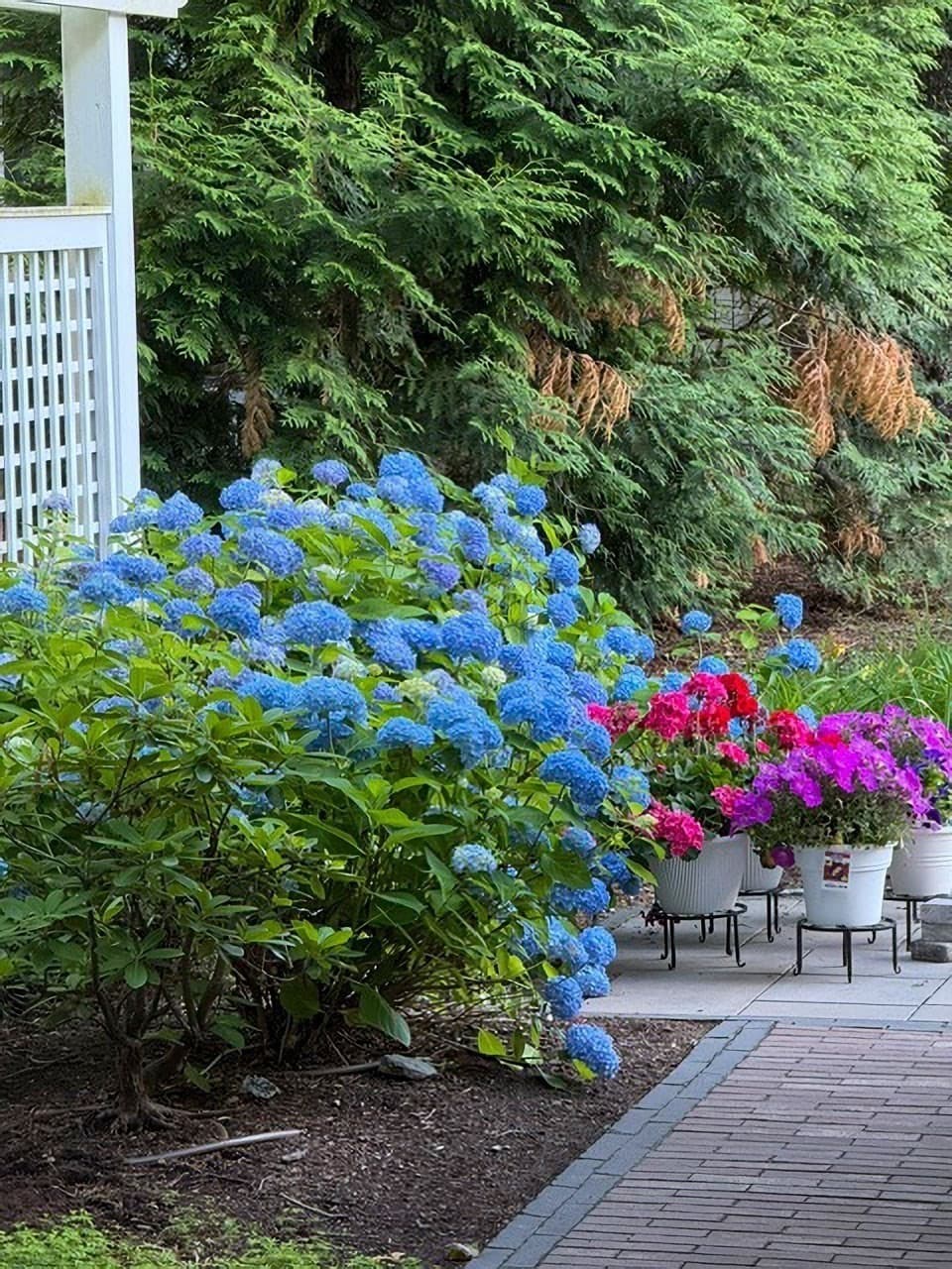 Condominium at 23-25 Woodbine St # 23, Newton MA 02466, Newton, photo 5 of 42
