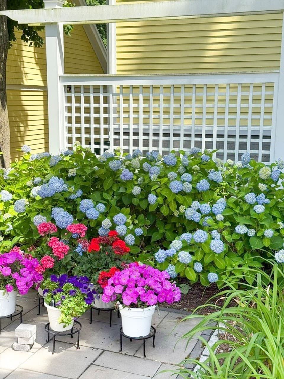Condominium at 23-25 Woodbine St # 23, Newton MA 02466, Newton, photo 4 of 42