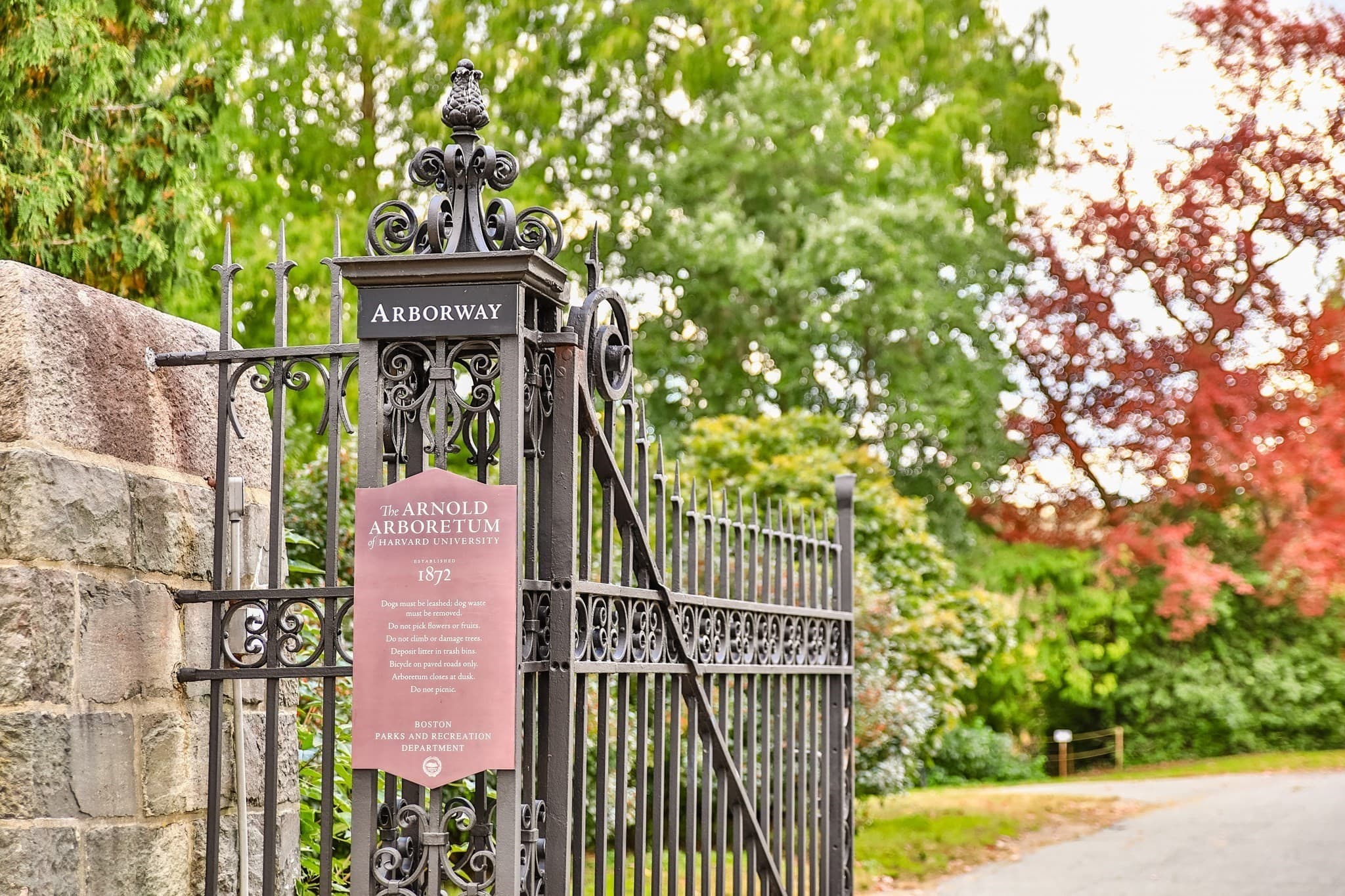 Condominium at 34 Goldsmith St # 1, Boston MA 02130, photo 40 of 41