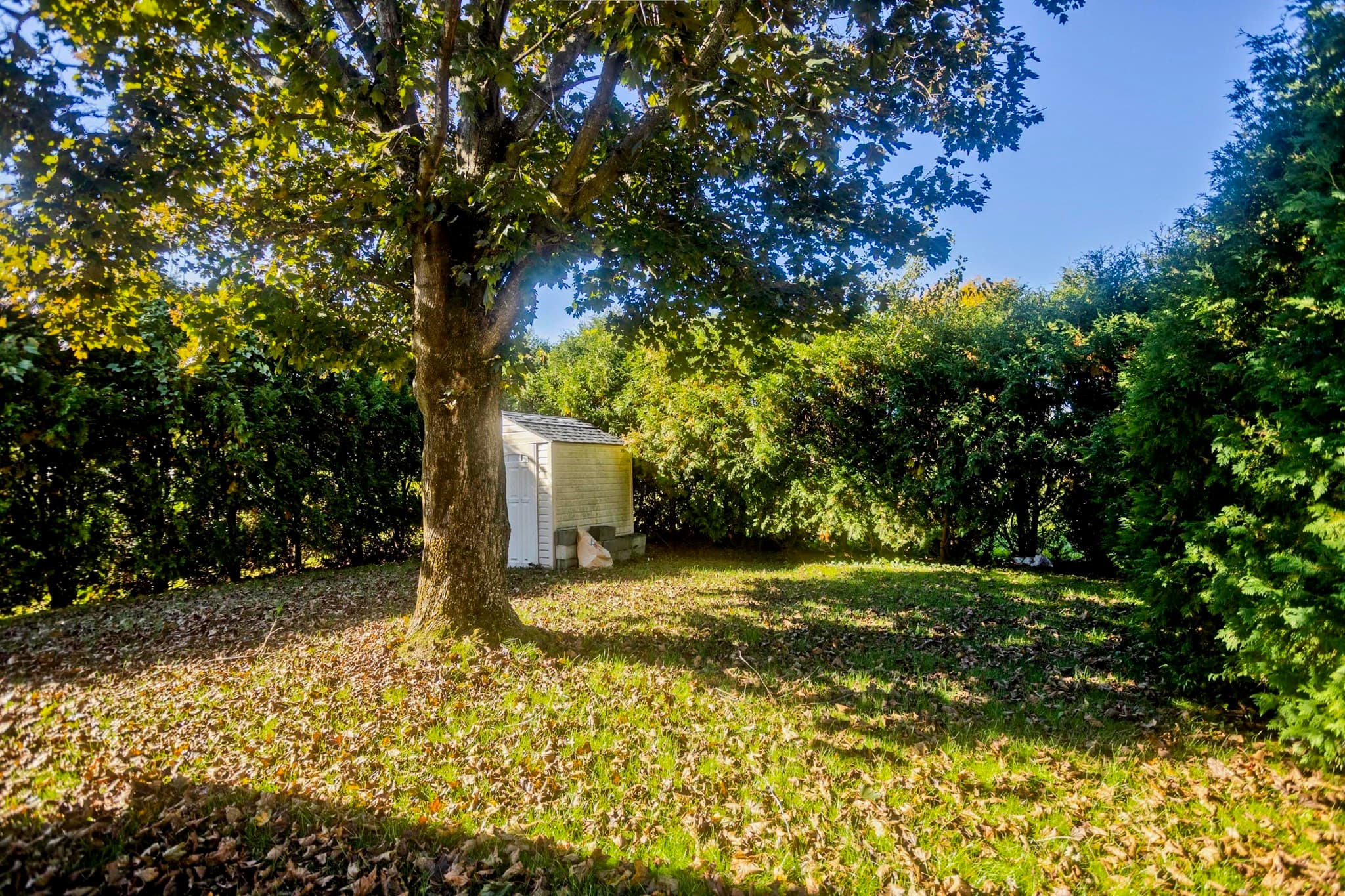Single Family Residence at 20 Meadow Ave, Agawam MA 01001, Agawam, photo 19 of 20