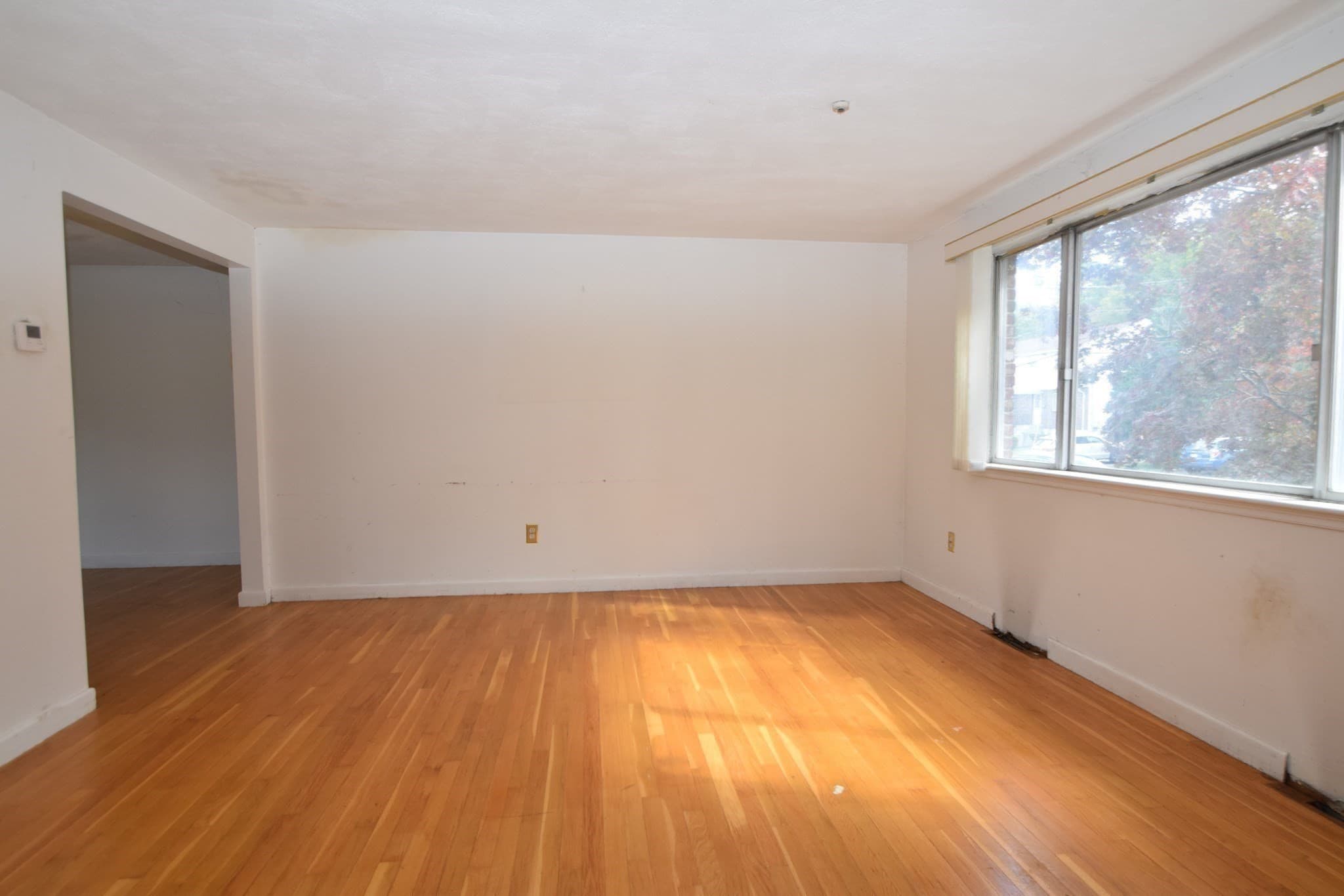 Condex at 38 Raechel Road # 38, Randolph MA 02368, Randolph, photo 12 of 34