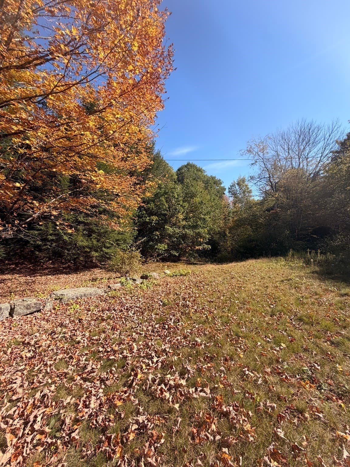 Mobile Home at 403 Tully Rd, Orange MA 01364, Orange, photo 19 of 30