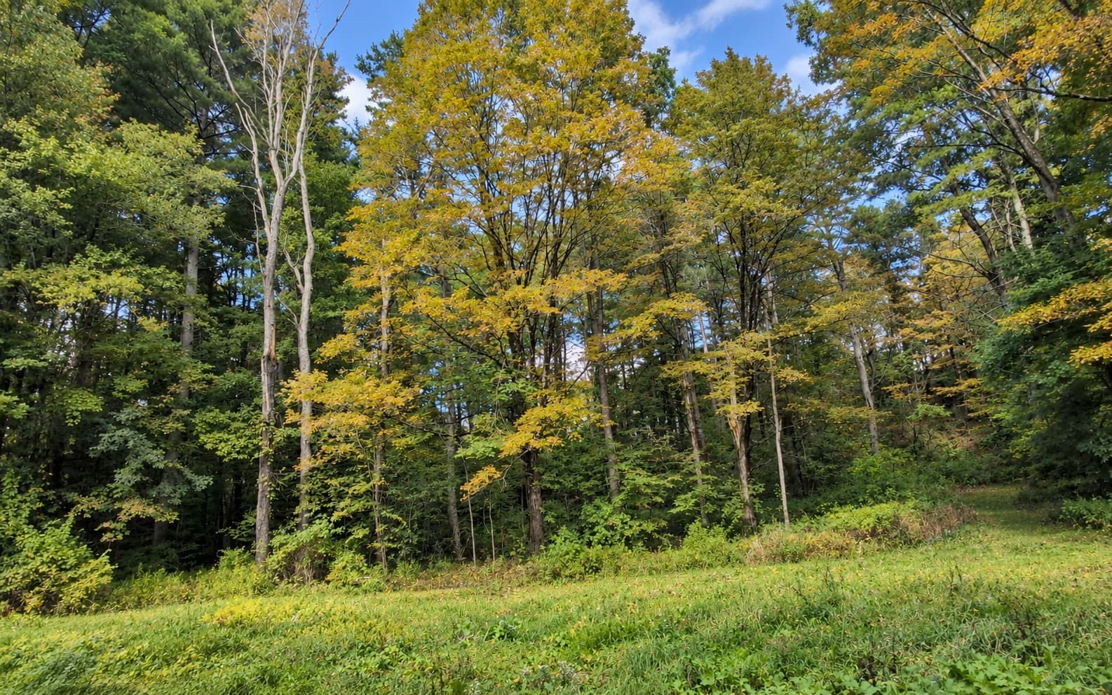 Lot 2 Ma-41, Richmond MA 01254