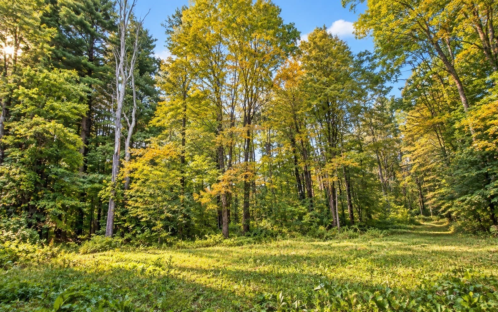 Lot 3 Ma-41, Richmond MA 01254