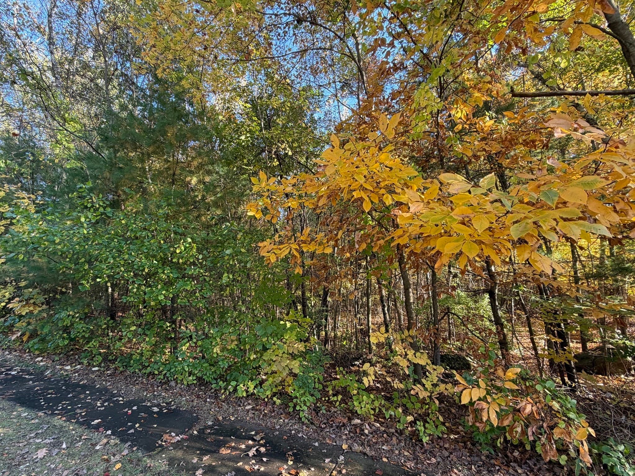 Agriculture at 0 Pine Cone Lane Lot 29b, Ludlow MA 01056, Ludlow, photo 3 of 3