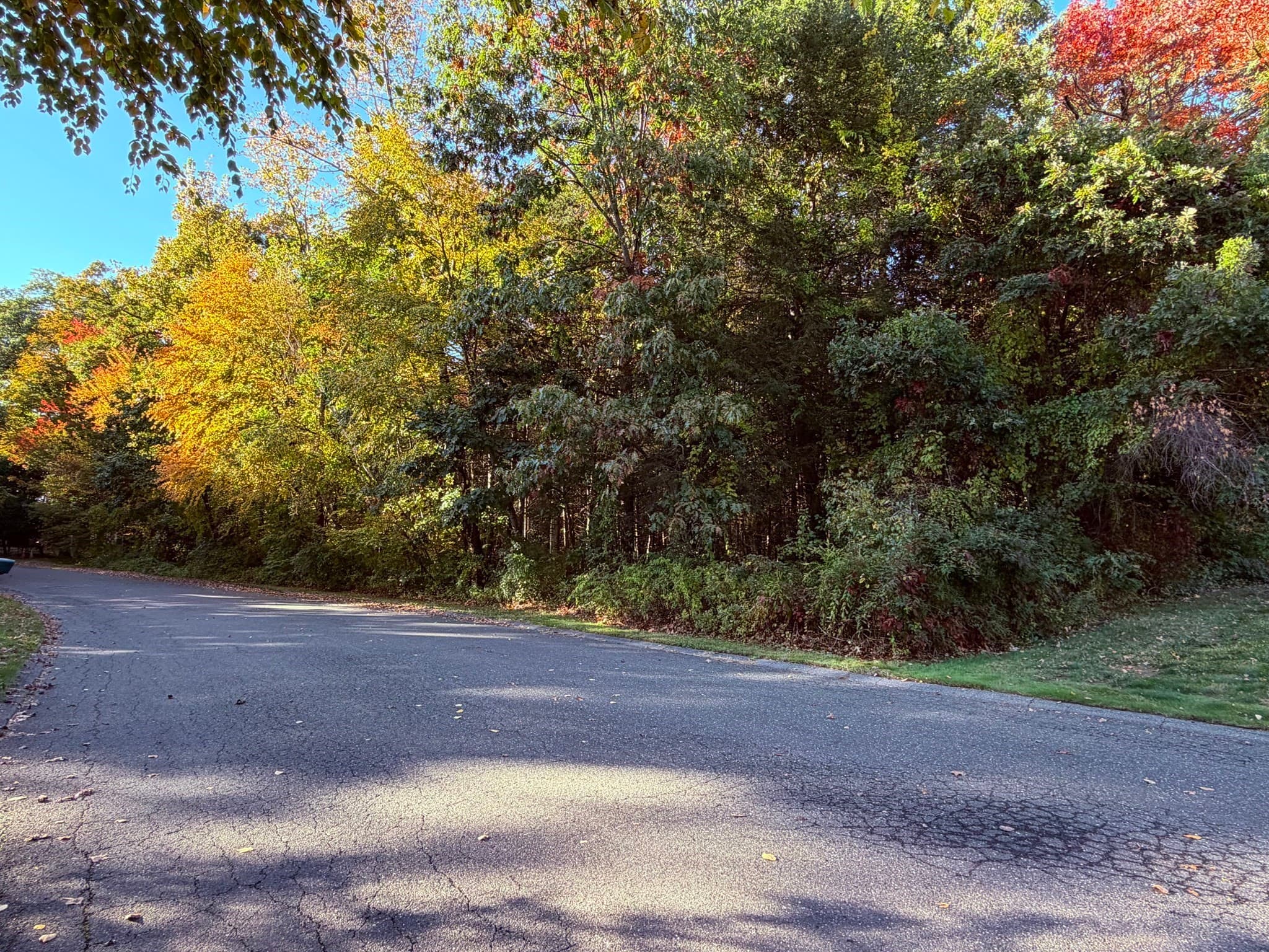 Agriculture at 0 Pine Cone Lane Lot 28, Ludlow MA 01056, Ludlow, photo 5 of 6