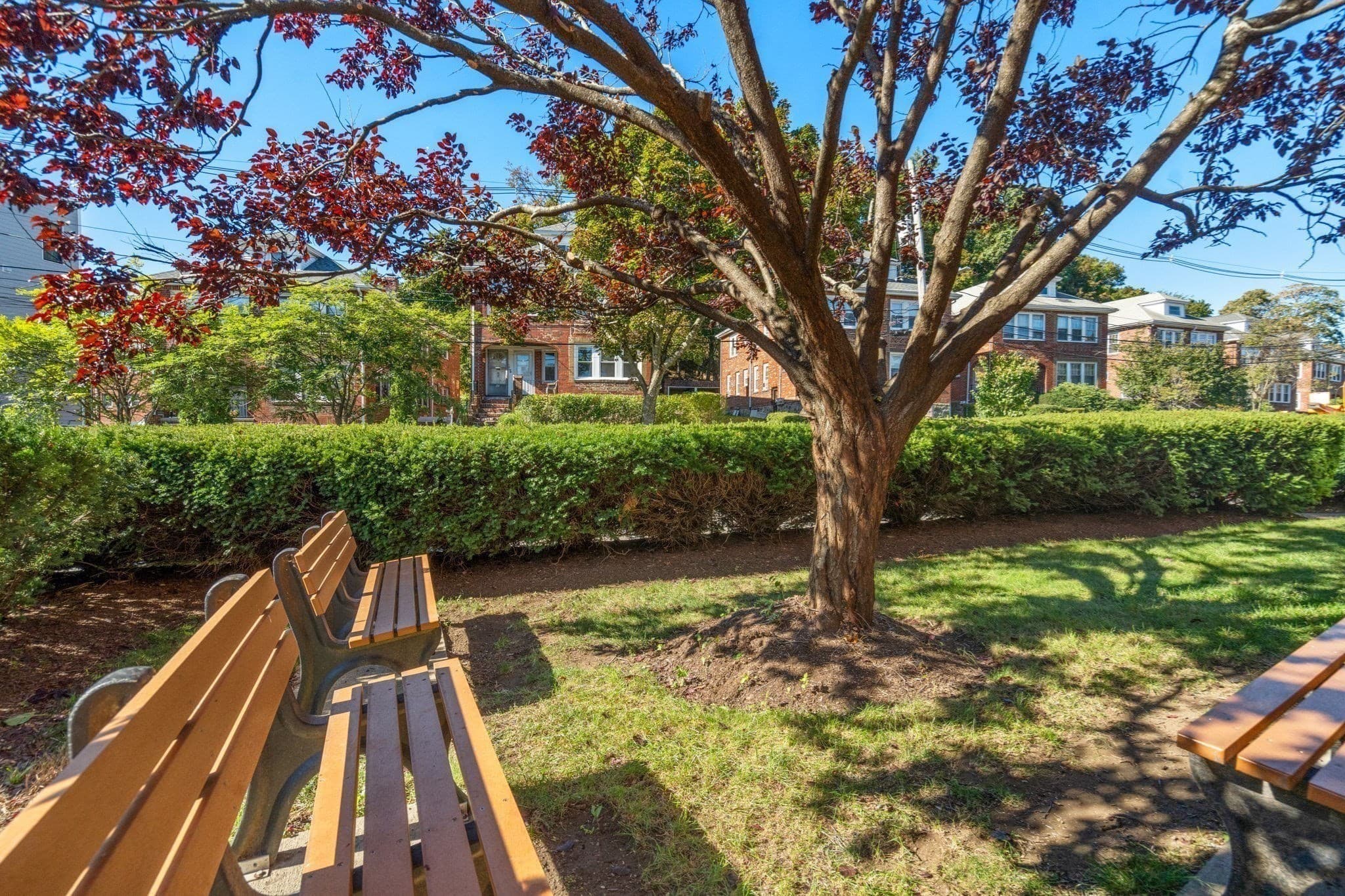 Condominium at 47 Colborne Rd # 1, Boston MA 02135, Boston, photo 29 of 30