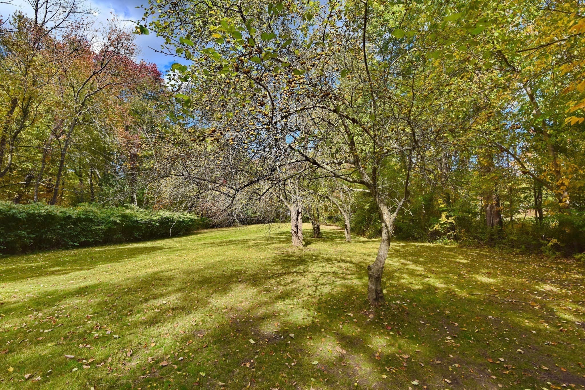 Condominium at 6 Cain Circle # 6, Southborough MA 01772, Southborough, photo 34 of 36