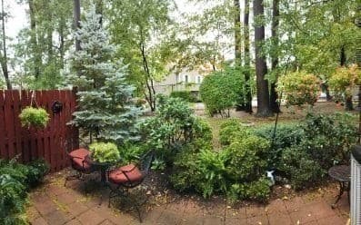 Condominium at 50 Edward Drive # 50, Stoughton MA 02072, Stoughton, photo 30 of 40