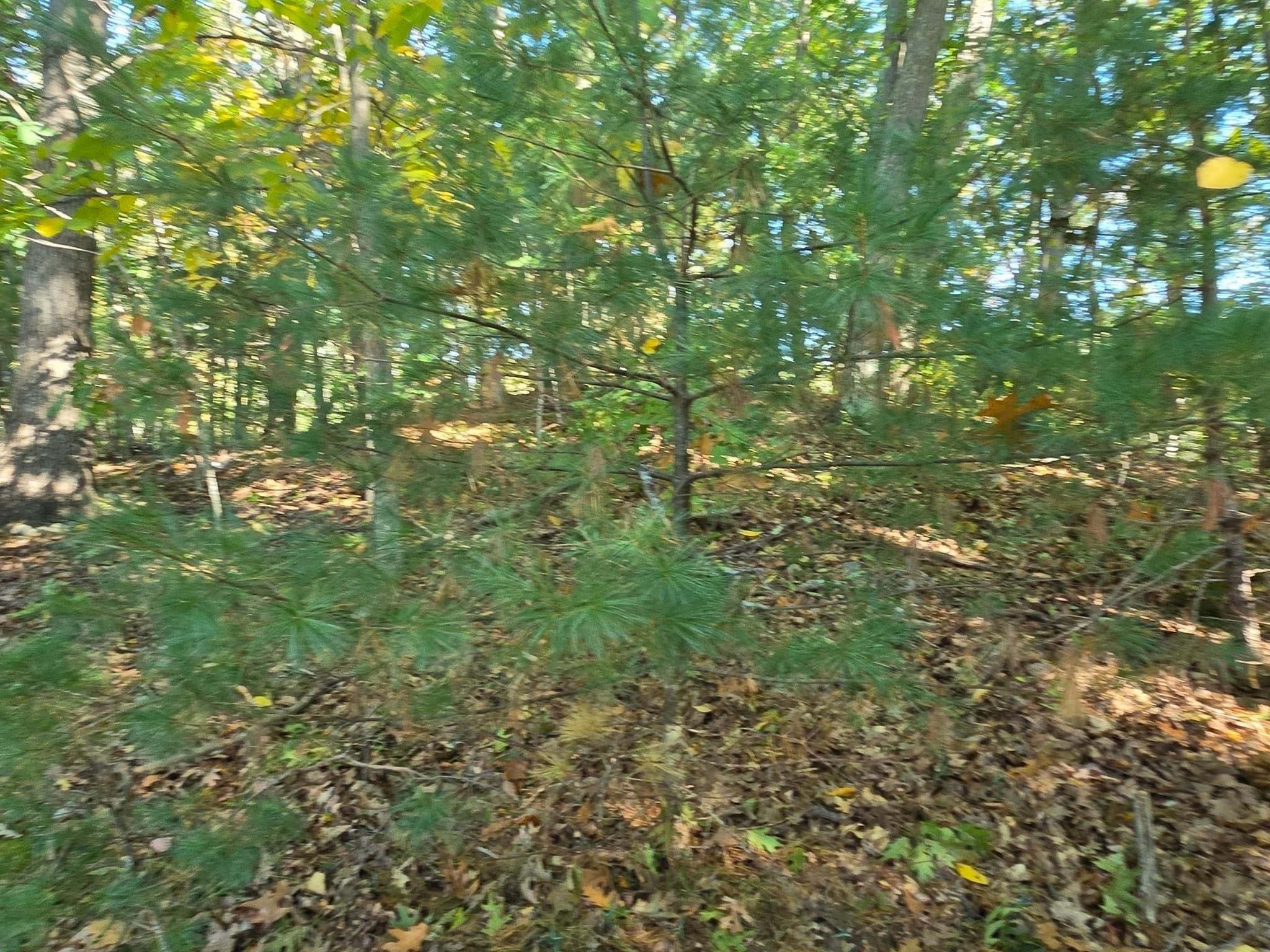 Residential at 0 Sunny, Webster MA 01570, Webster, photo 6 of 7