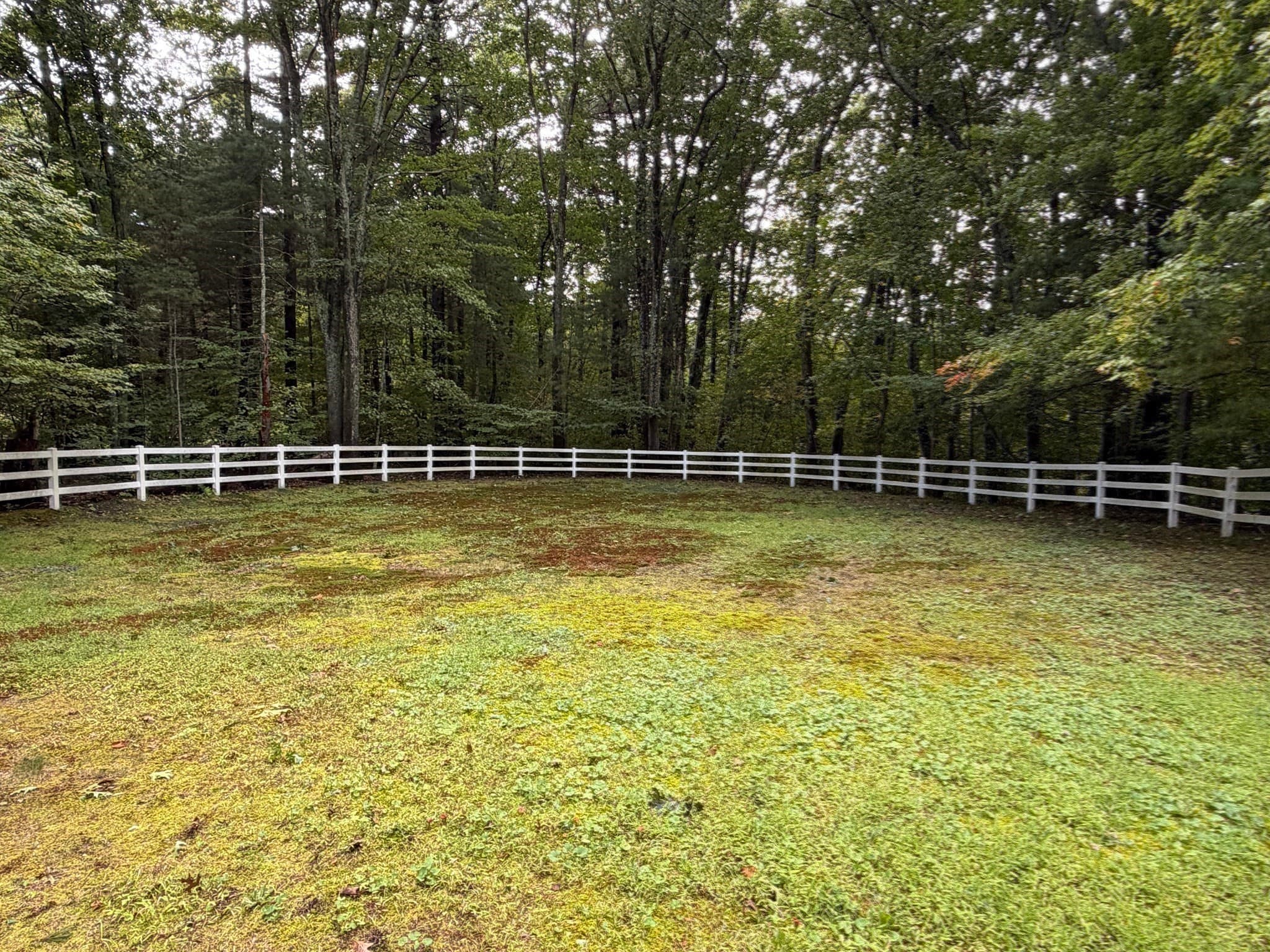 Equestrian at 61 South Street, Franklin MA 02038, Franklin, photo 27 of 32