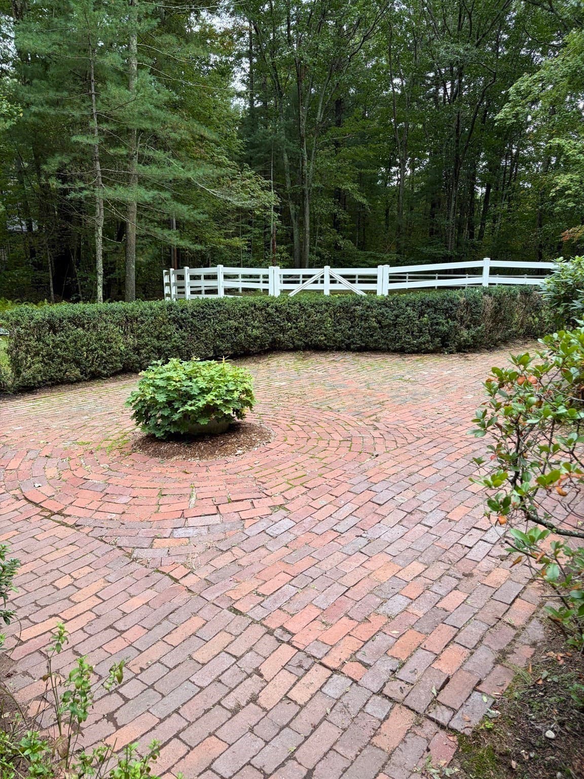 Equestrian at 61 South Street, Franklin MA 02038, Franklin, photo 22 of 32