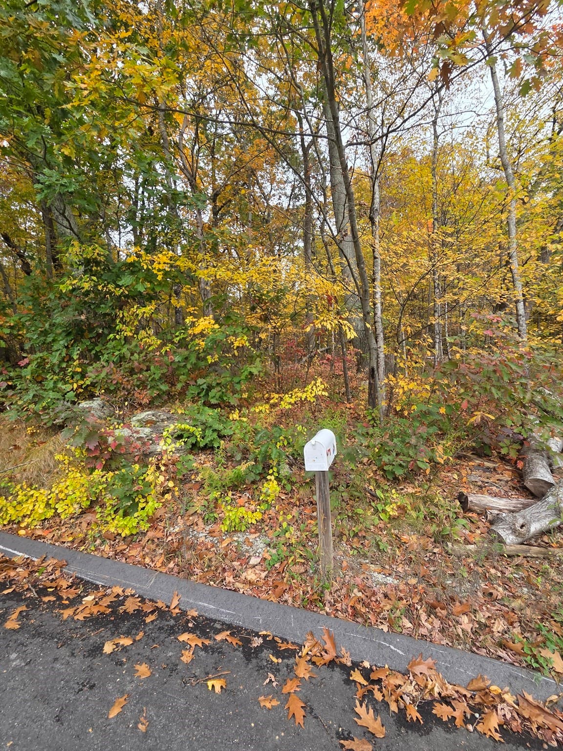 13 Kimball St, Brookfield MA 01506
