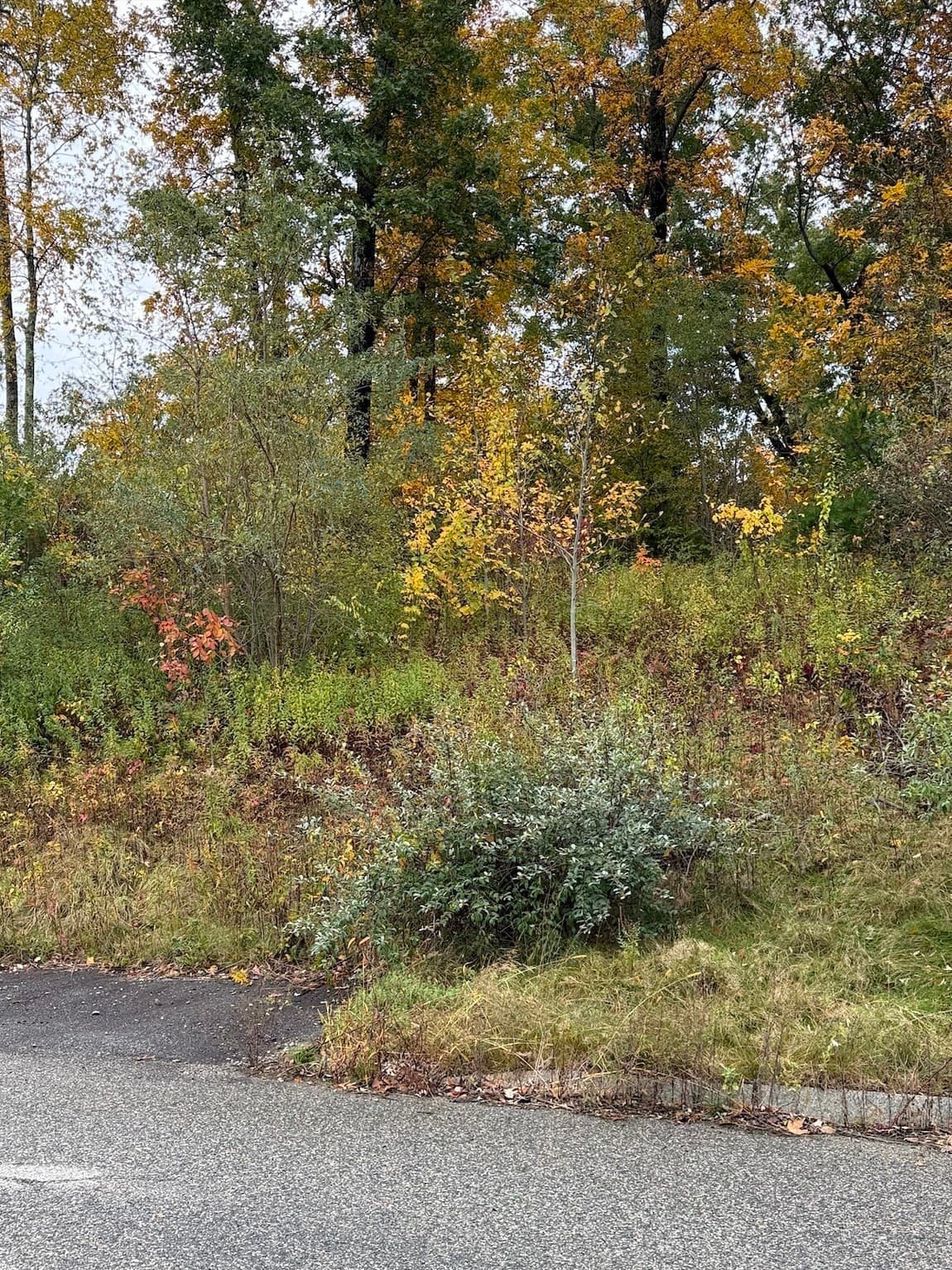 88 Seven Sisters Road, Haverhill MA 01830