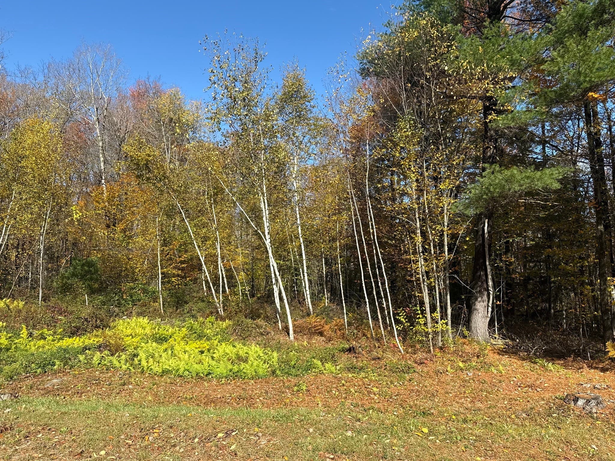 Single Family Residence at 1905 Hawley Rd, Ashfield MA 01330, photo 37 of 41