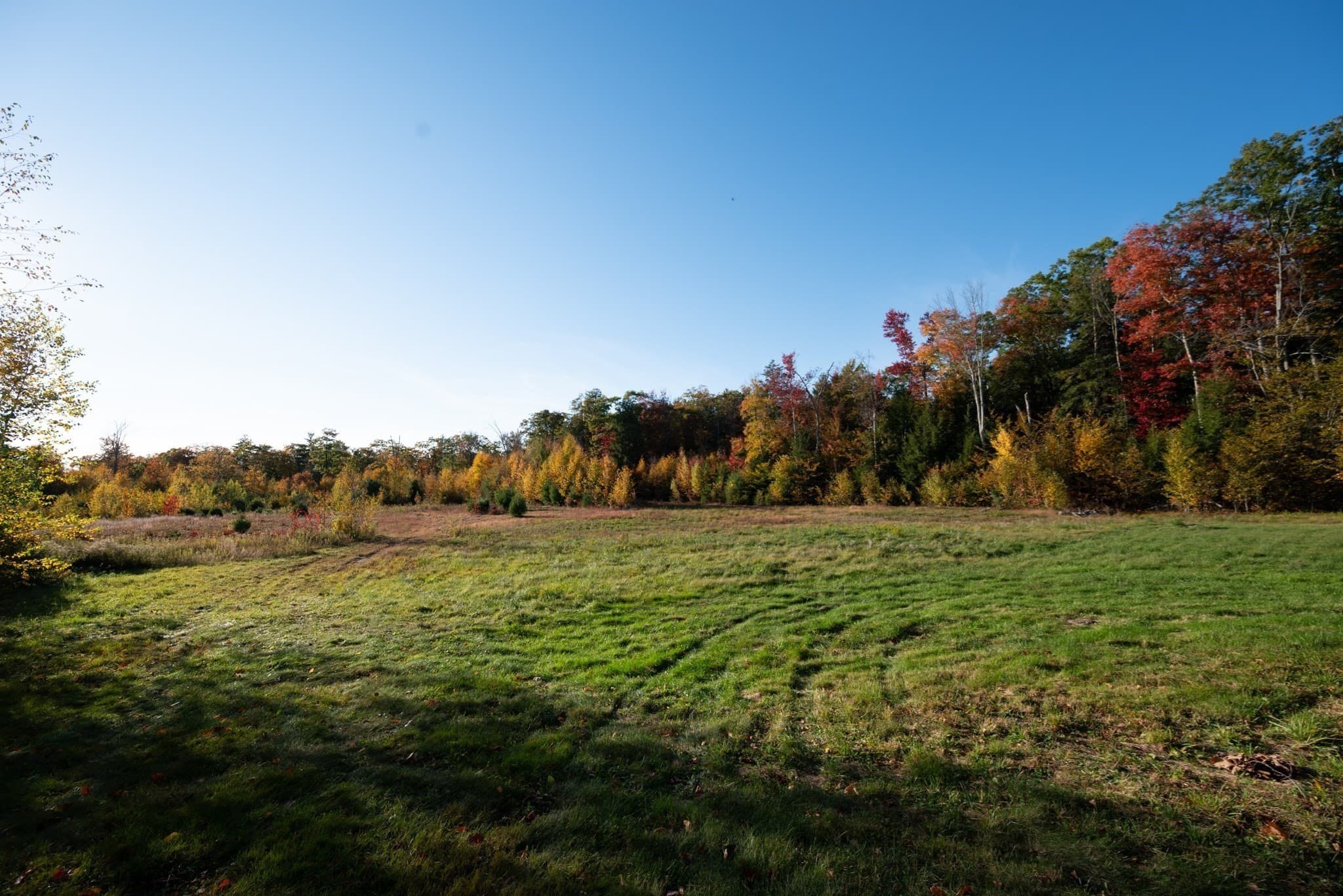 Single Family Residence at 121 Bliss Hill Rd, Royalston MA 01368, photo 7 of 41