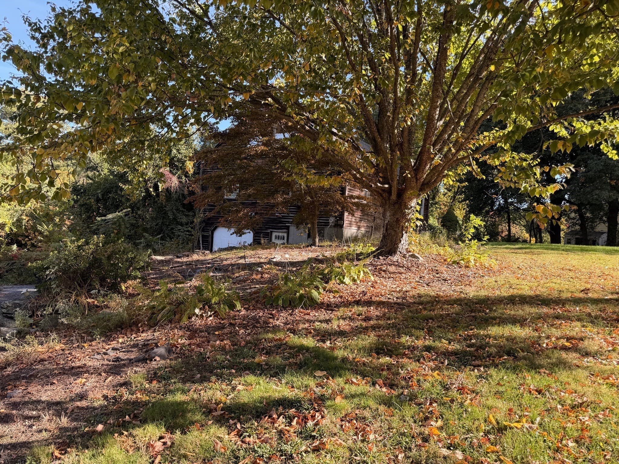 Single Family Residence at 151 Ash St, Marlborough MA 01752, Marlborough, photo 6 of 8