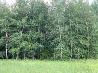 Agriculture at 0 Linden Heights, Pittsford VT 05733, photo 6 of 15