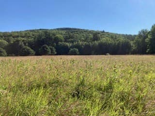 Agriculture at 0 Linden Heights, Pittsford VT 05733, photo 7 of 15