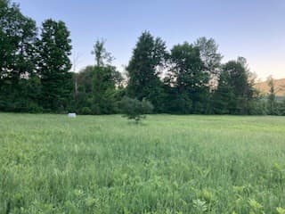 Agriculture at 0 Linden Heights, Pittsford VT 05733, photo 5 of 15