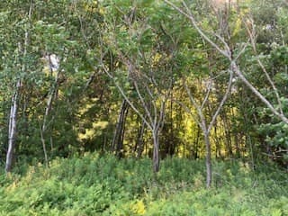 Agriculture at 0 Linden Heights, Pittsford VT 05733, photo 10 of 15