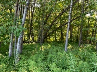 Agriculture at 0 Linden Heights, Pittsford VT 05733, photo 11 of 15