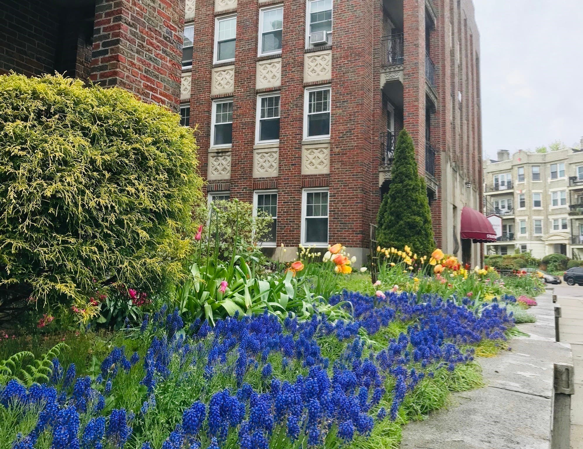 Condominium at 52 Strathmore Rd # 46, Boston MA 02135, Boston, photo 22 of 25