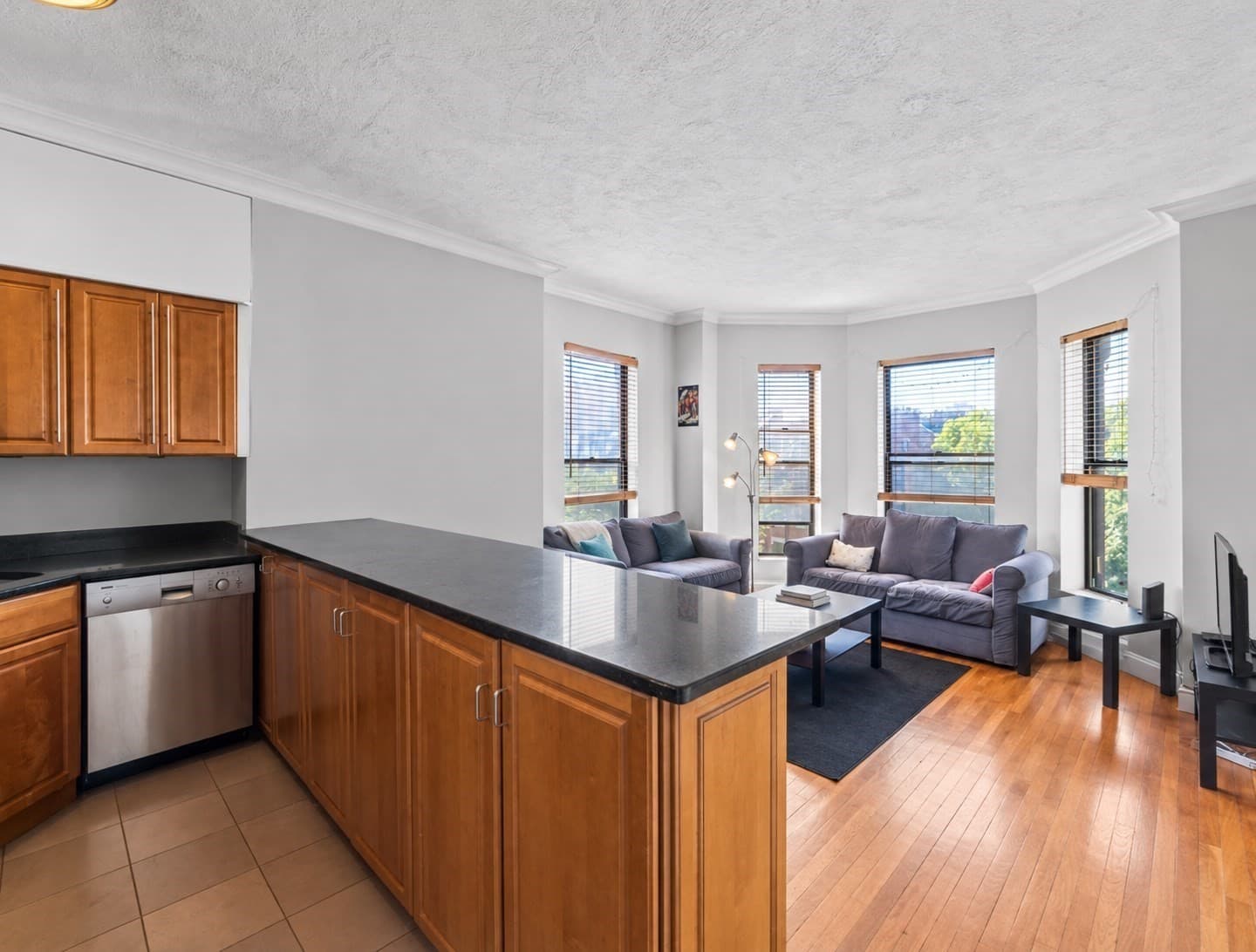 Condominium at 764 Tremont St # 4, Boston MA 02118, Boston, photo 3 of 8