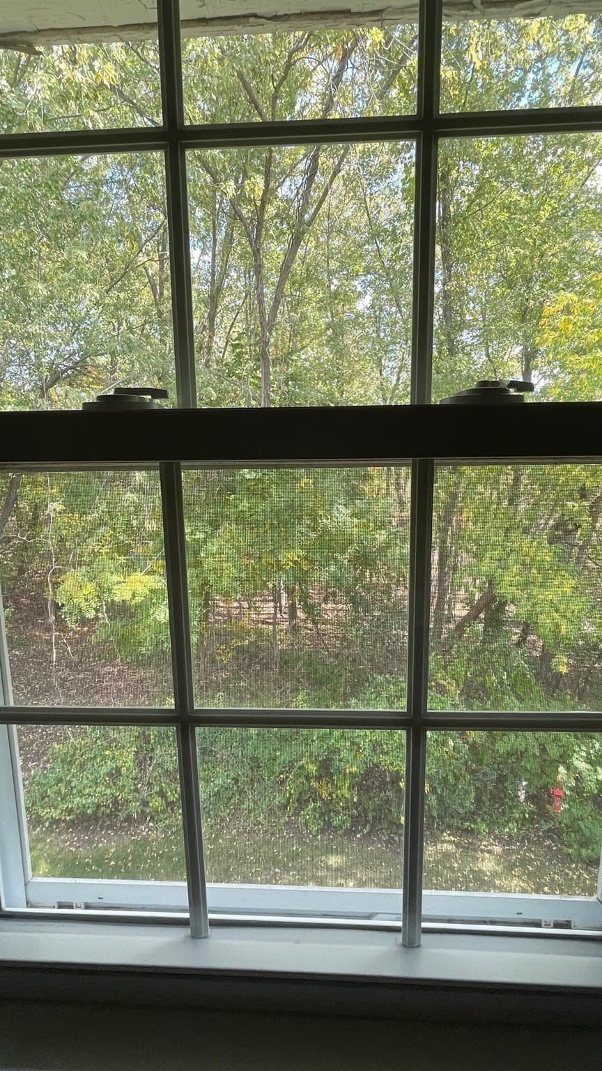 Condominium at 55 Clough Rd # 55, Dedham MA 02026, photo 17 of 32