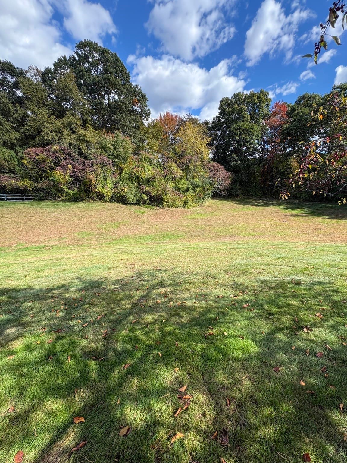 Condominium at 119 Alvord Pl # 119, South Hadley MA 01075, photo 25 of 26