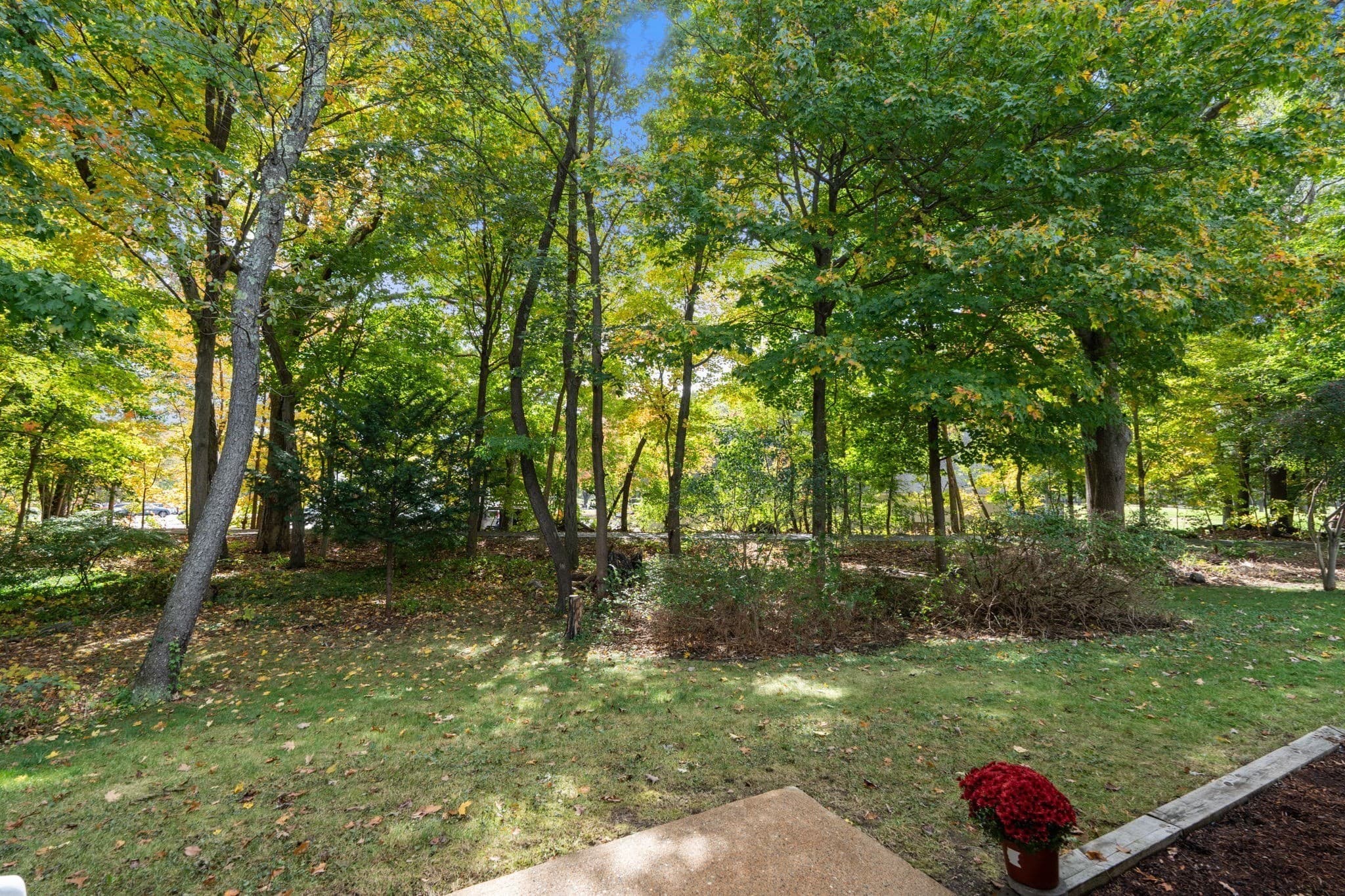 Condex at 8 Lauren Drive # 8, Rockland MA 02370, photo 29 of 31