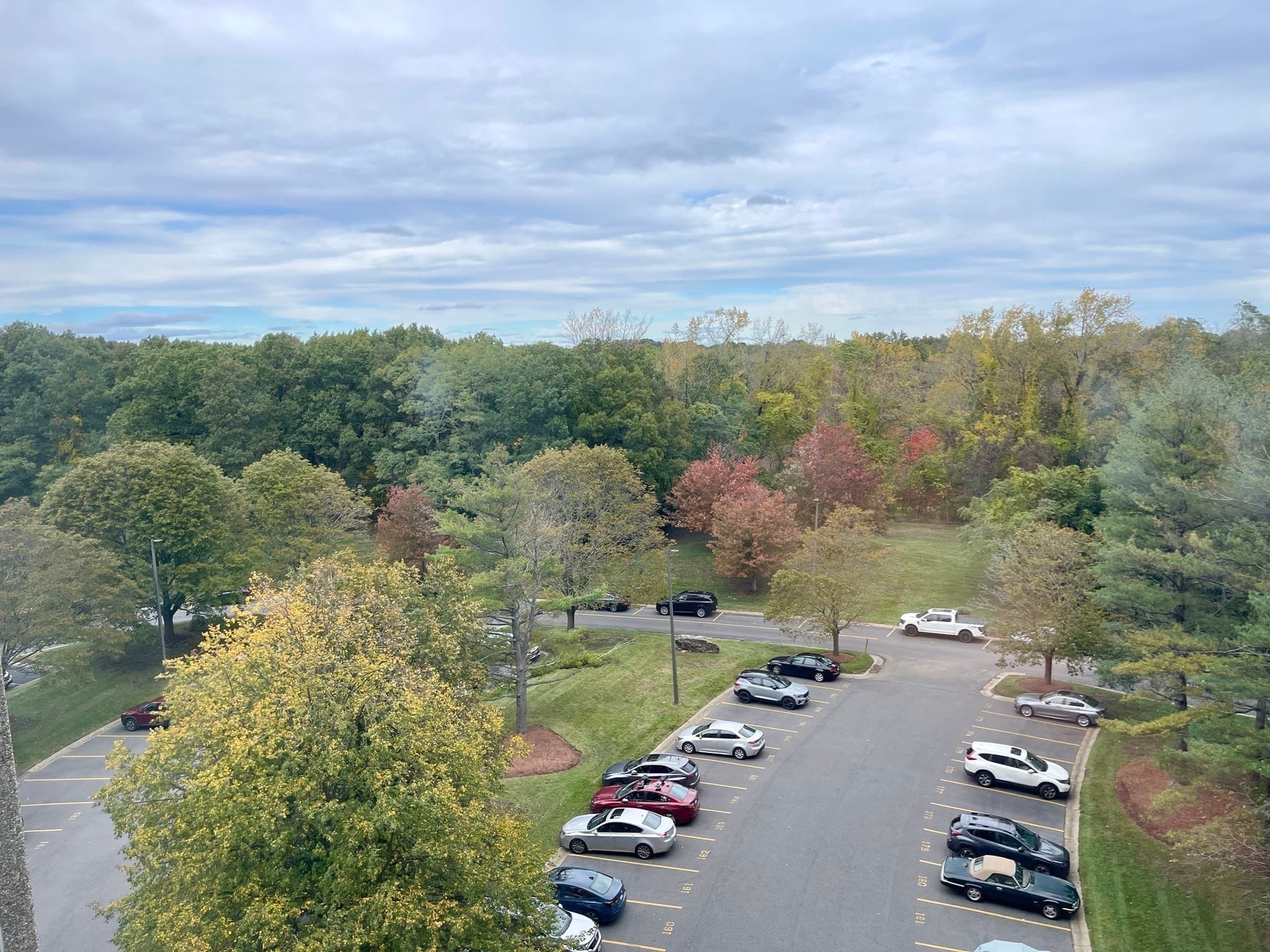 Condominium at 250 Hammond Pond Parkway, Newton MA 02467, photo 22 of 22