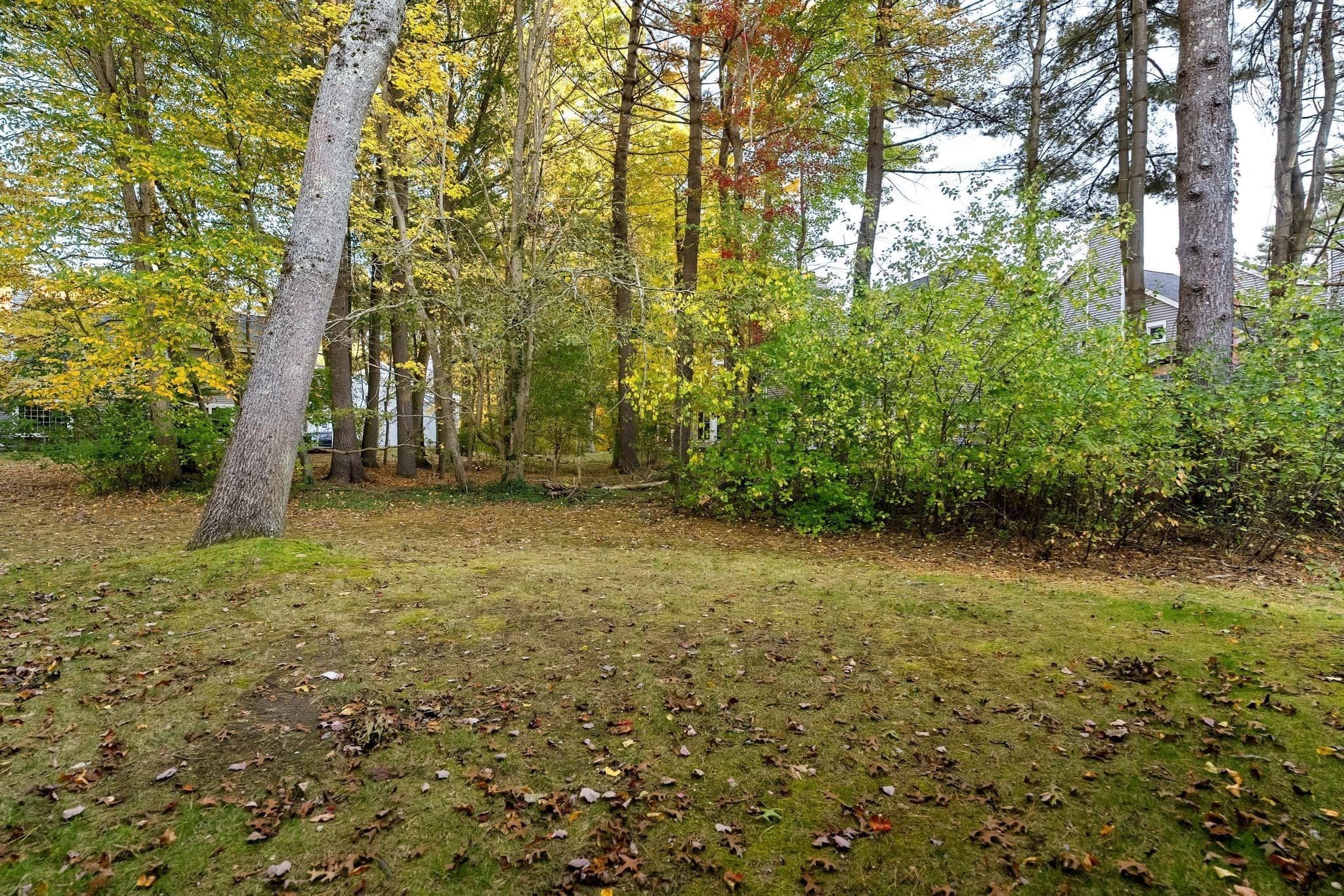 Condominium at 16 Holly Ct # 16, Rockland MA 02370, photo 31 of 37