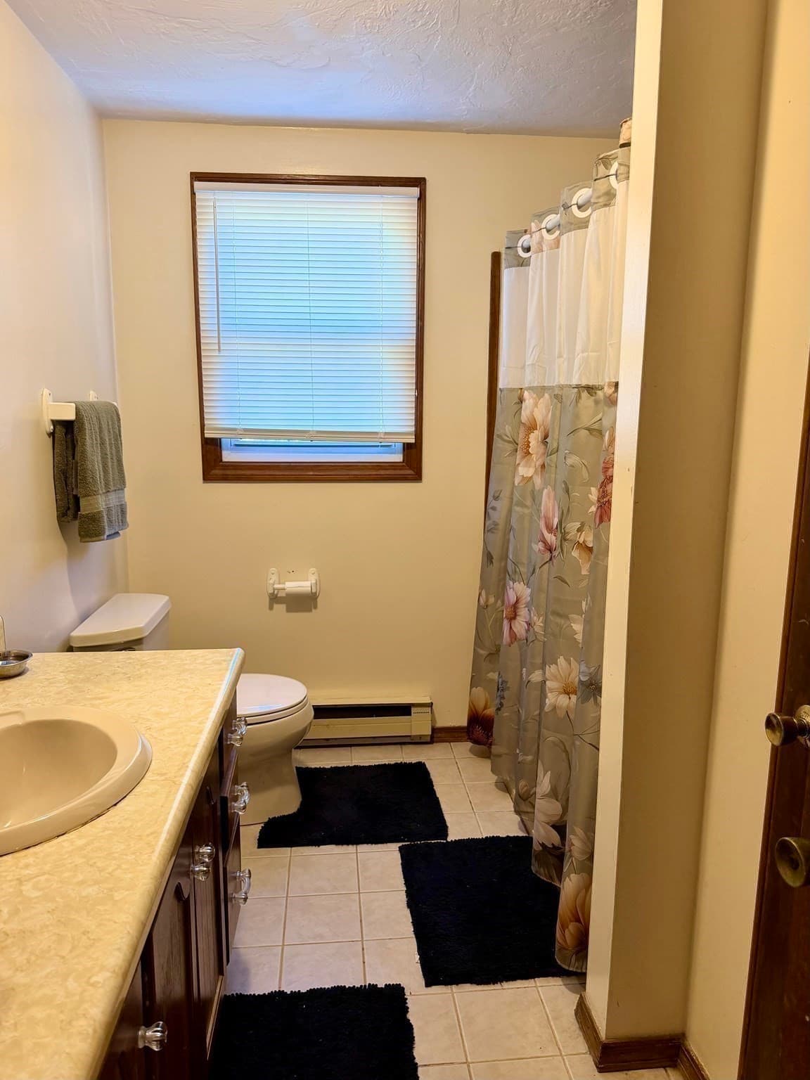 Condominium at 27 Tiffany Cir # 27, Millbury MA 01527, photo 8 of 17