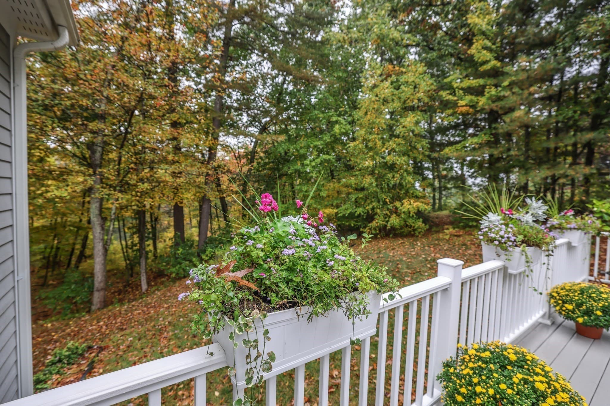 Condominium at 7 Taylors Way # 101, Hollis NH 03049, Hollis, photo 27 of 40