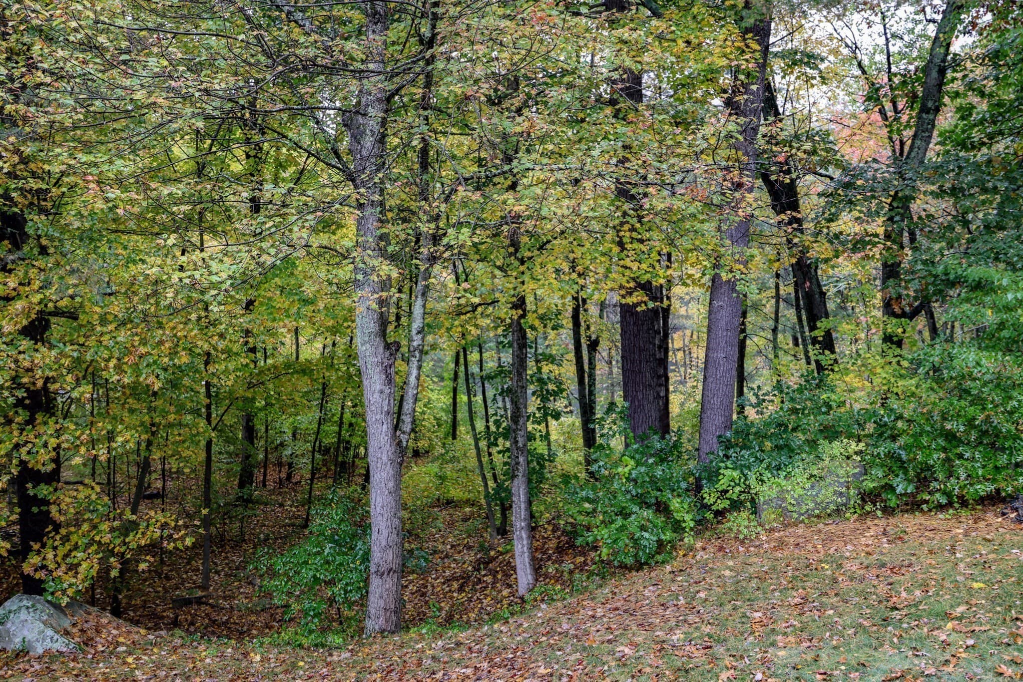 Condominium at 7 Taylors Way # 101, Hollis NH 03049, Hollis, photo 29 of 40