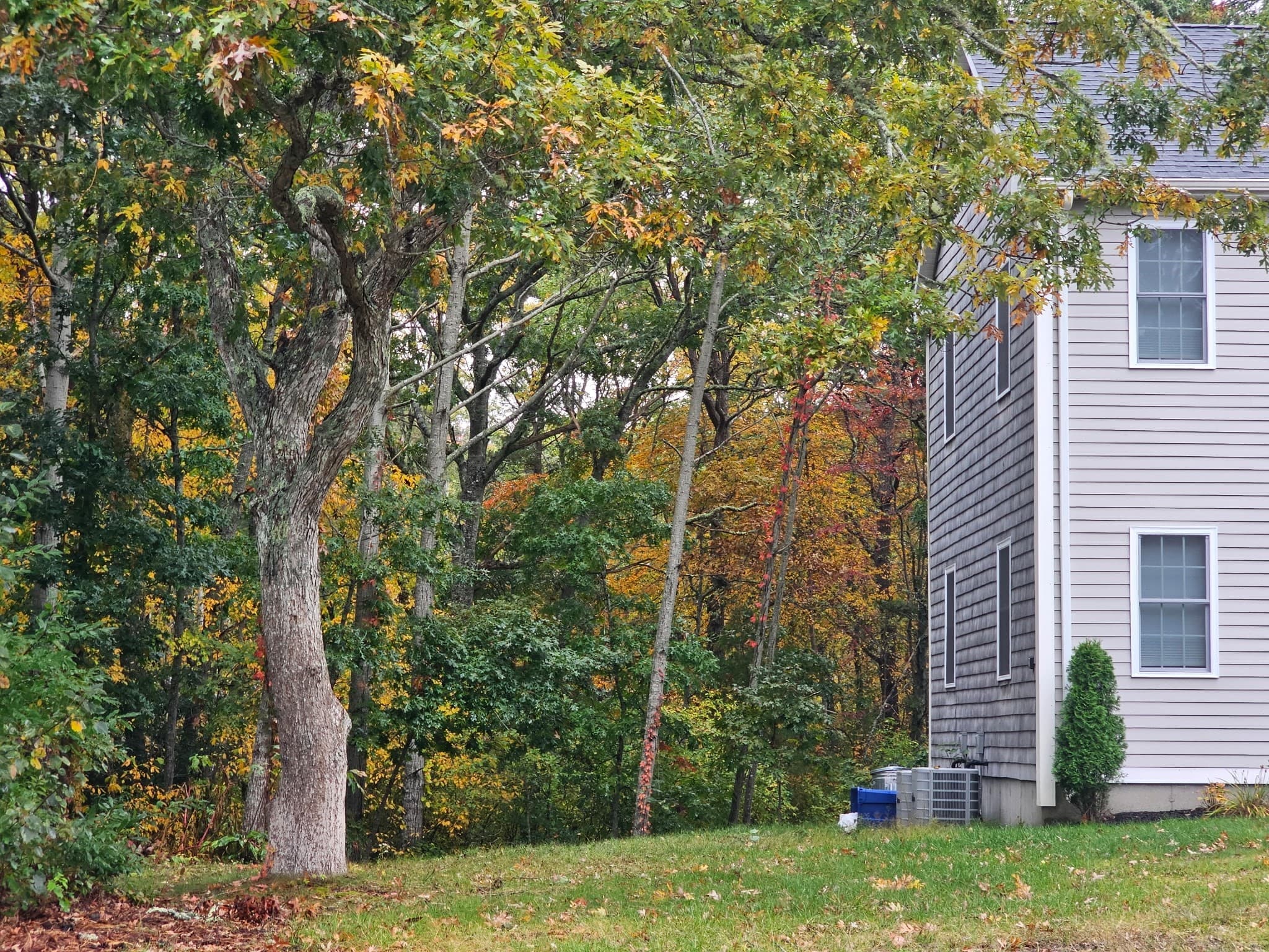 Single Family Residence at 63 Abells, Yarmouth MA 02673, photo 4 of 5