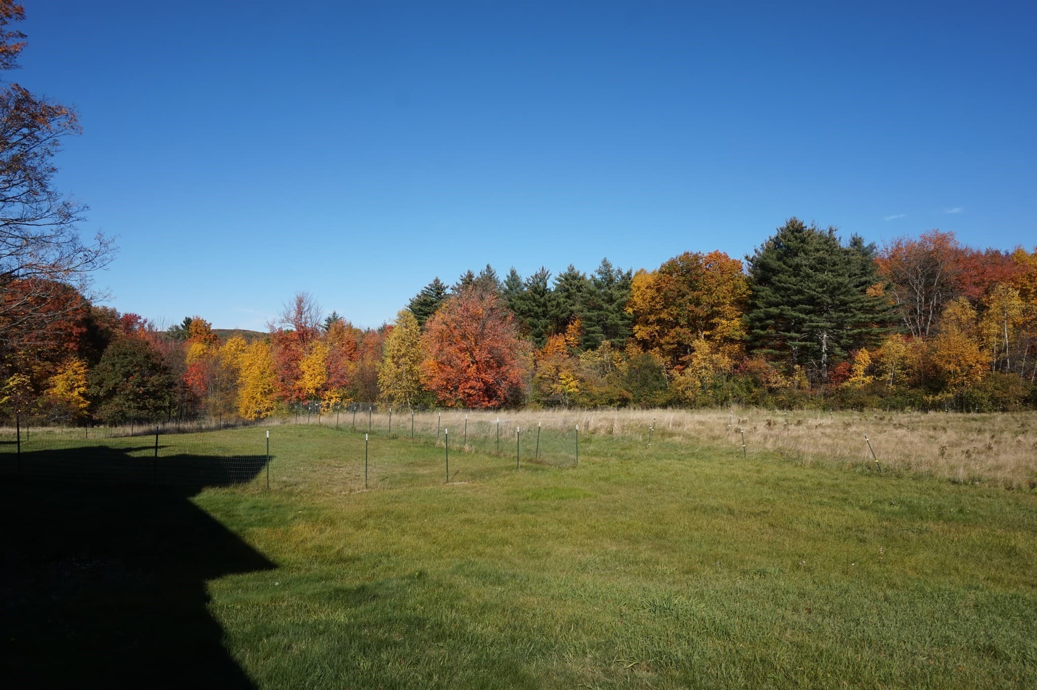 Single Family Residence at 123 Willard, Ashburnham MA 01430, photo 6 of 31