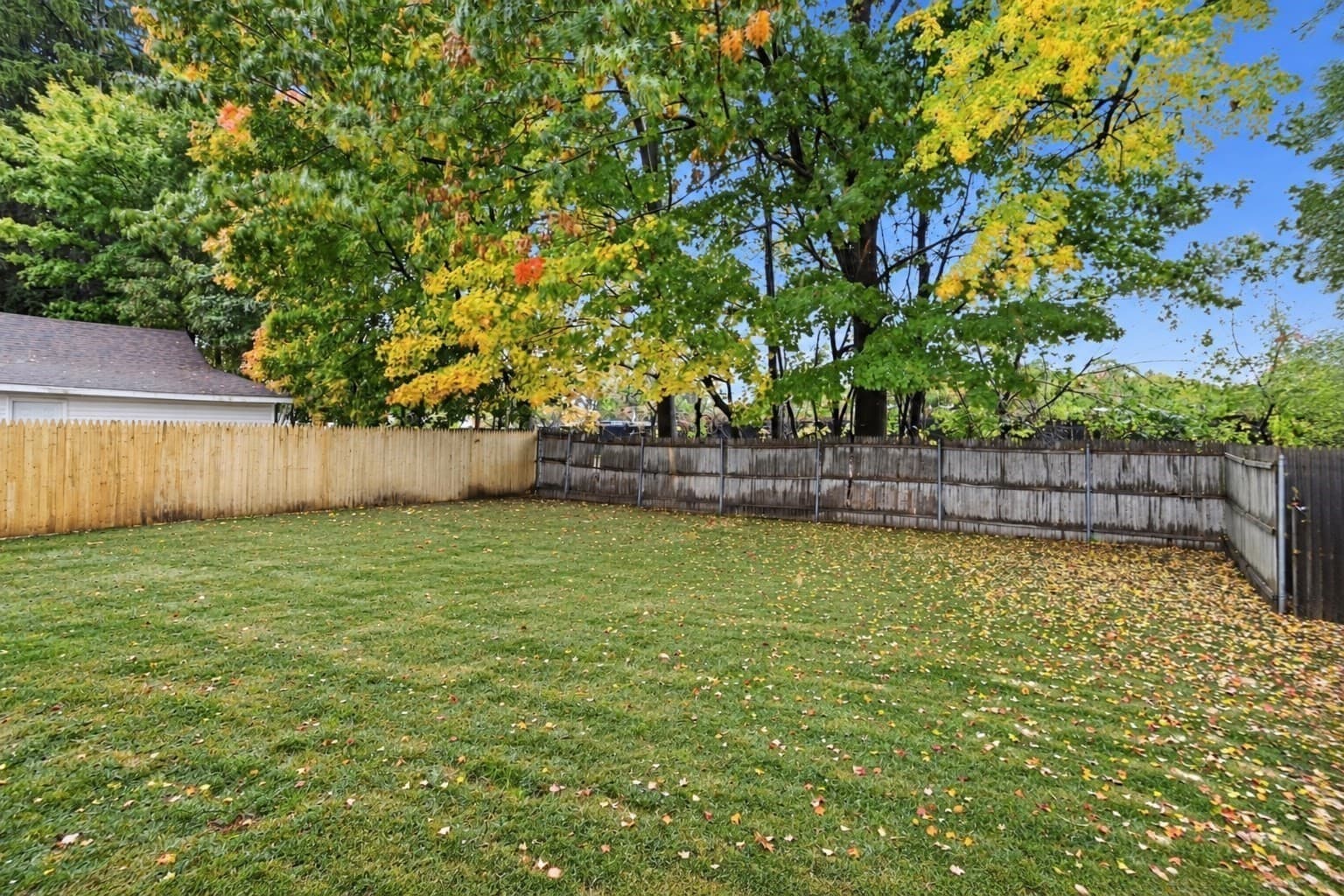 Single Family Residence at 167 Dorset St, Springfield MA 01108, photo 5 of 42