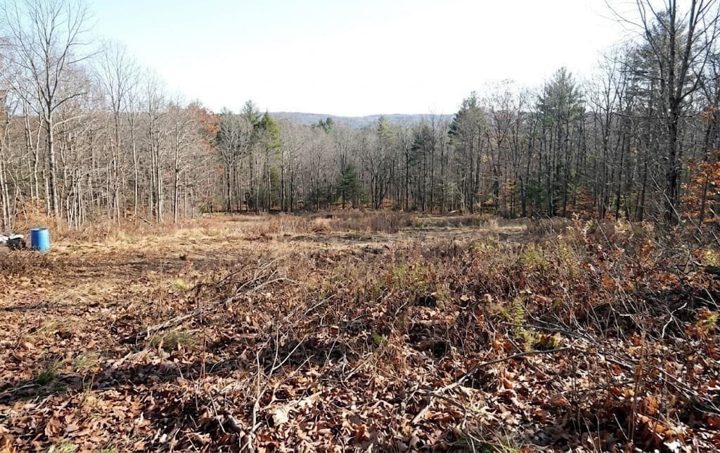 Residential at 42 Woronoco Rd, Blandford MA 01008, photo 5 of 5
