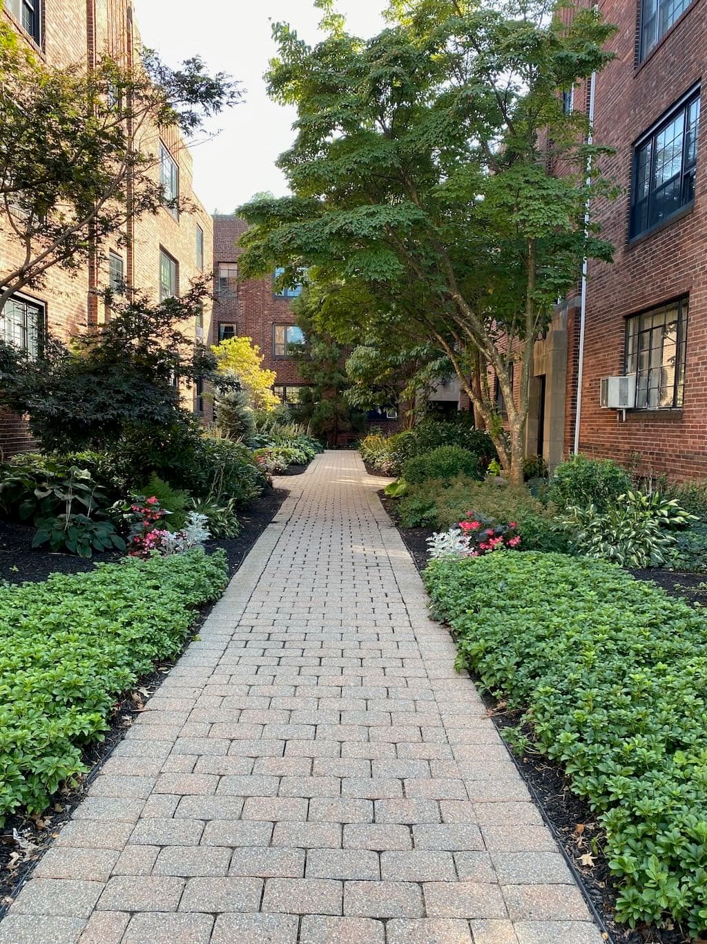 Condominium at 94 Marion Street # 1, Brookline MA 02446, photo 15 of 15