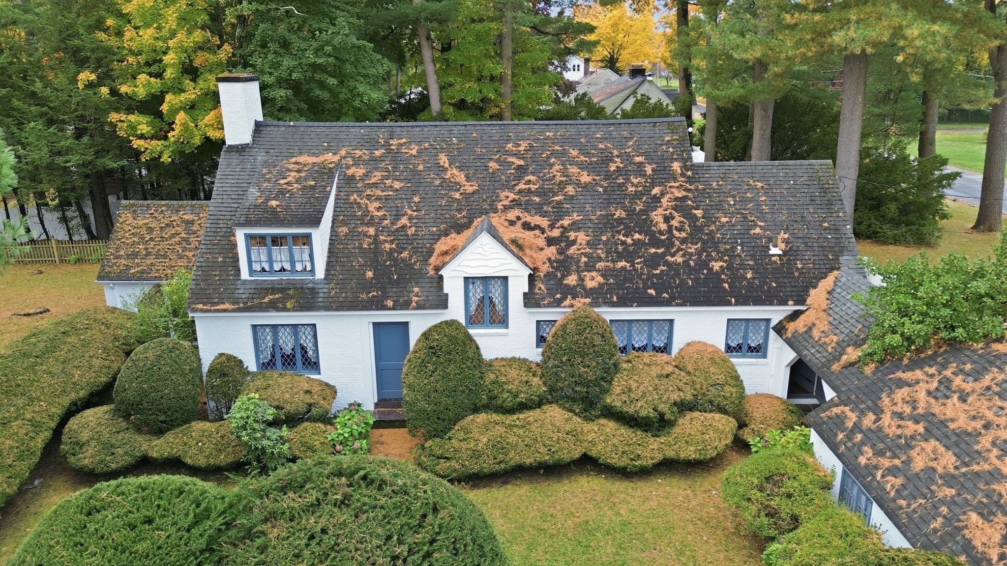 Single Family Residence at 96 Western Ave, Westfield MA 01085, photo 3 of 40