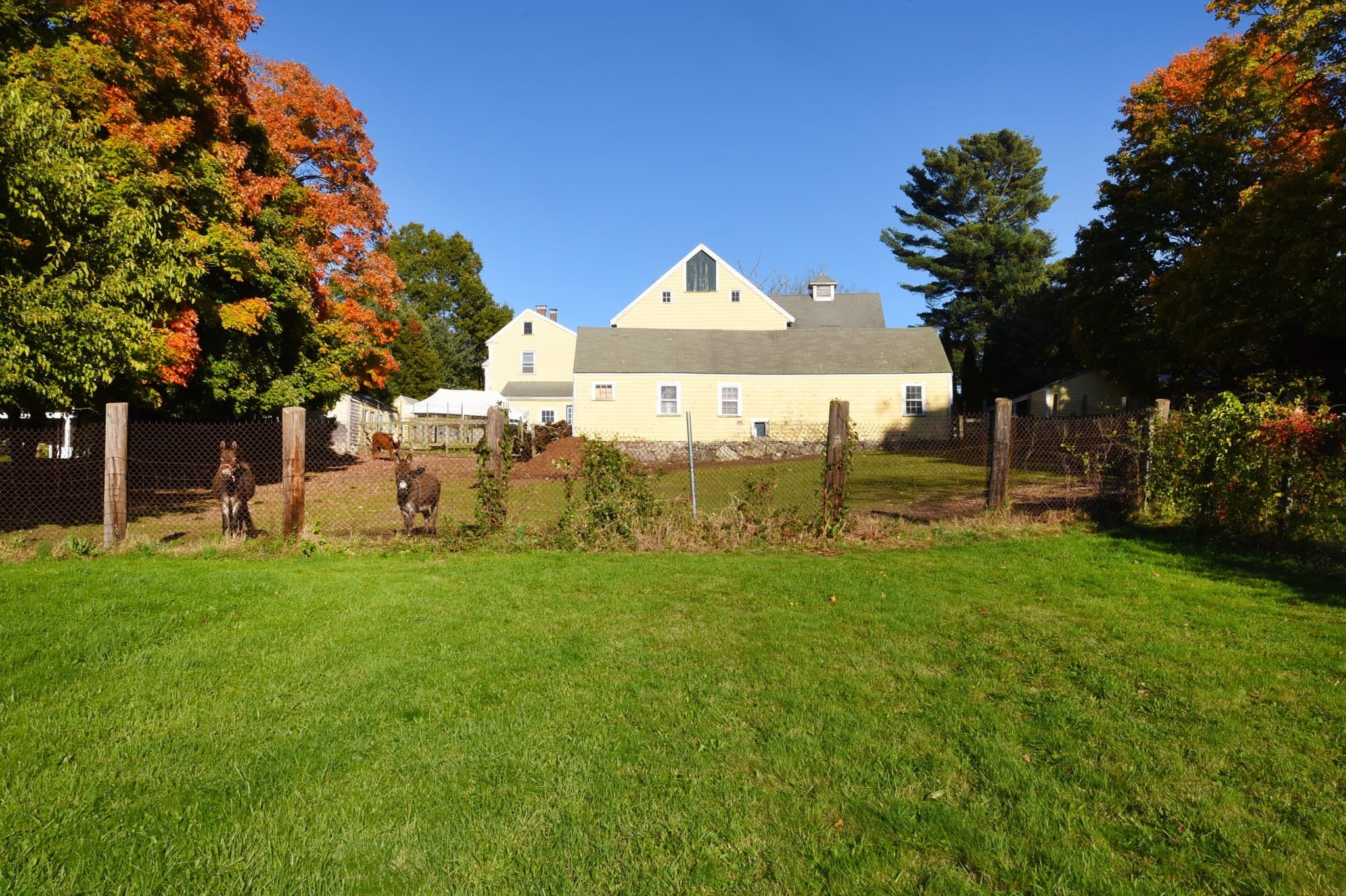 Single Family Residence at 558 N Main St, Randolph MA 02368, photo 17 of 41