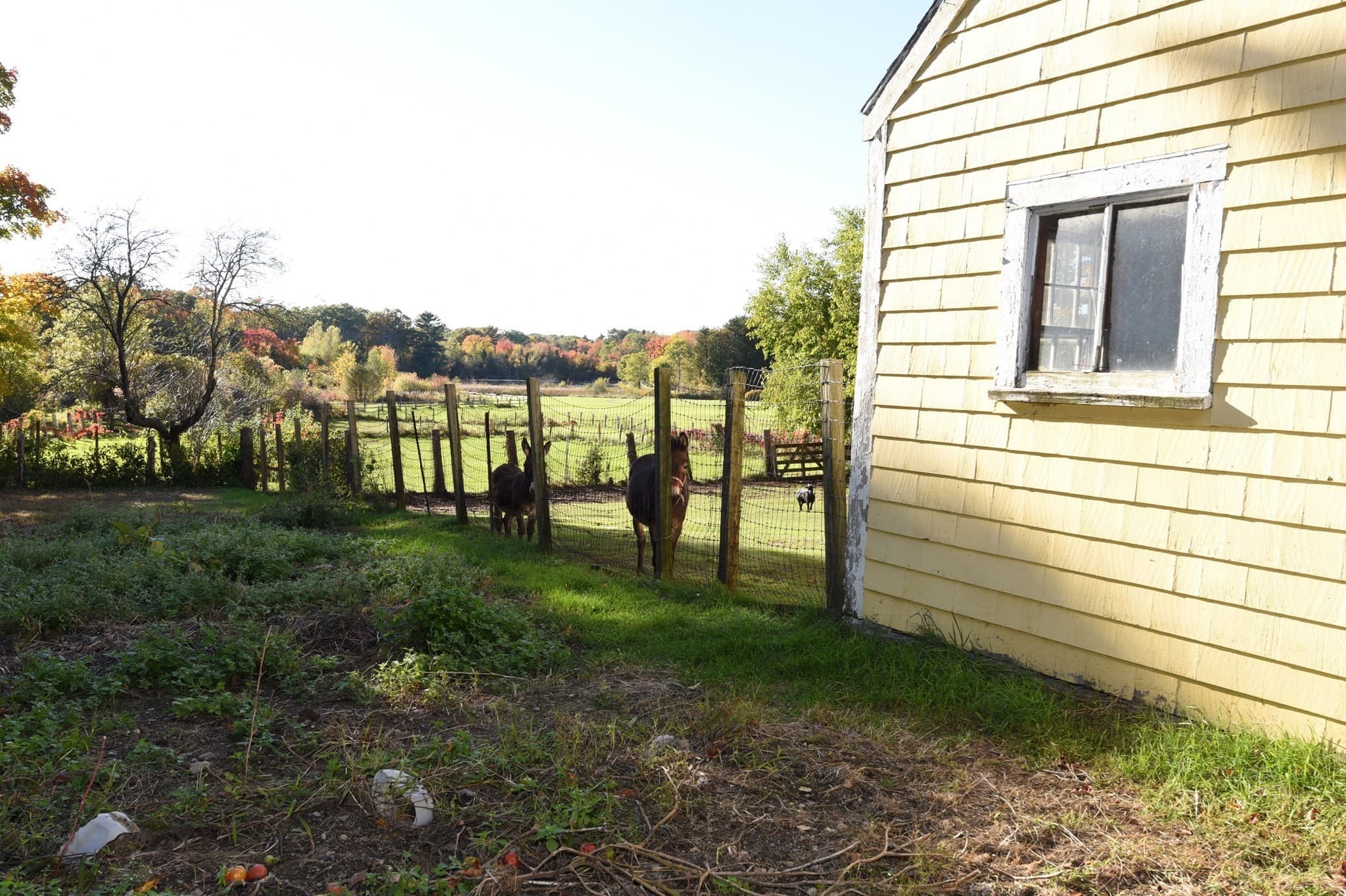 Single Family Residence at 558 N Main St, Randolph MA 02368, photo 11 of 41