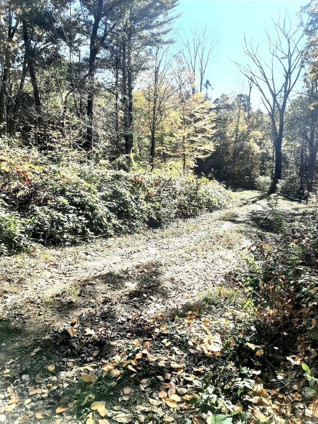 Residential at 0 Brookfield Road, Brimfield MA 01010, photo 12 of 13