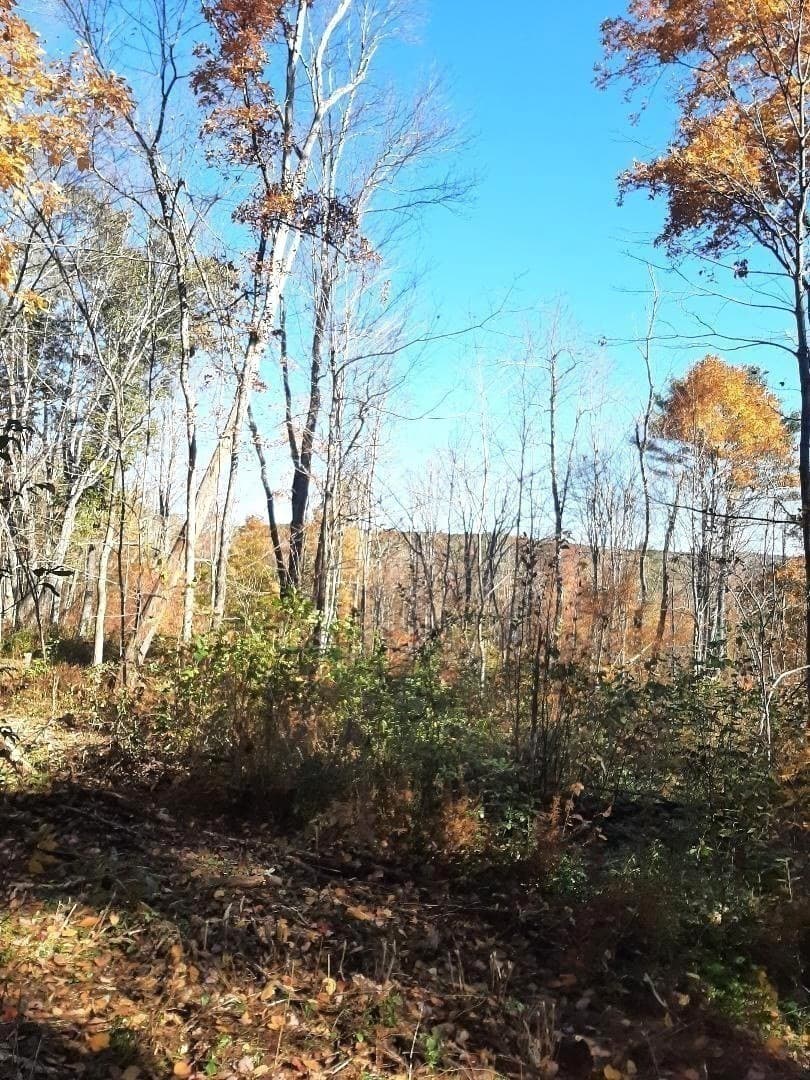 Residential at 0 Brookfield Road, Brimfield MA 01010, photo 7 of 13